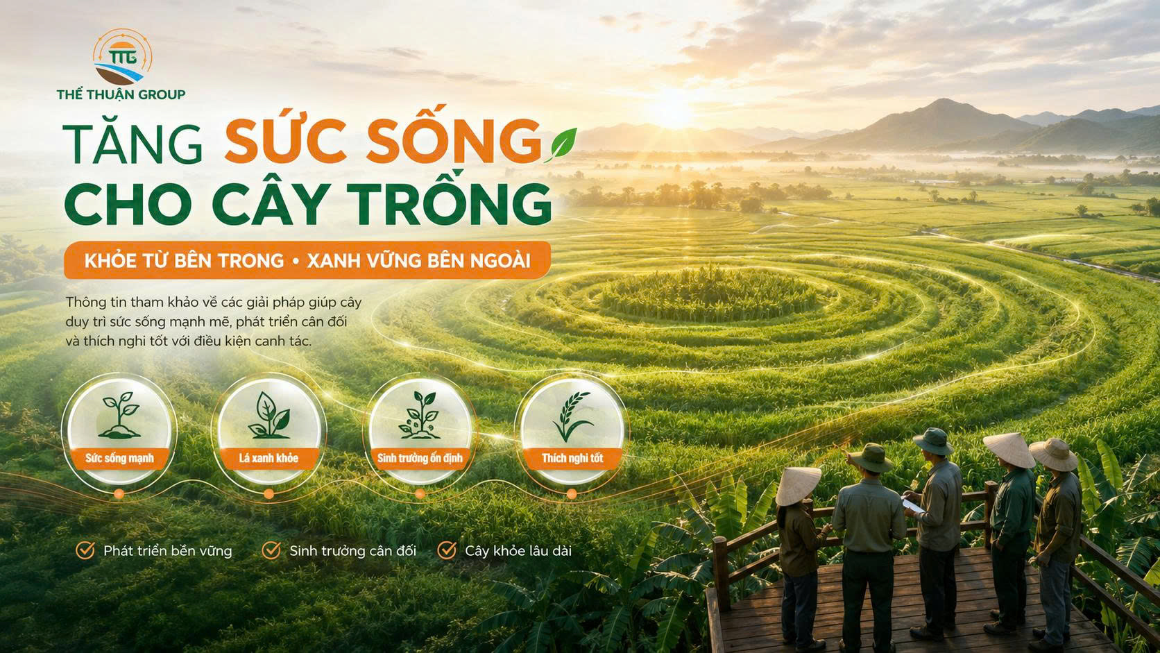 Tăng sức sống cho cây trồng Tăng sức sống cho cây trồng