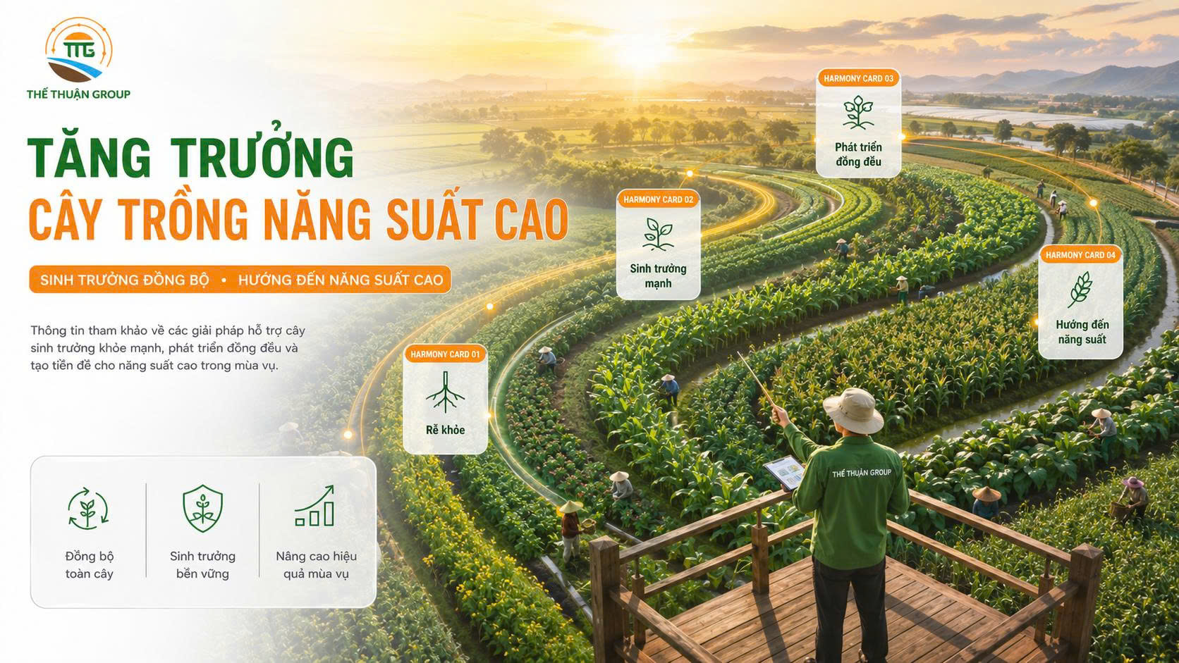 Tăng trưởng cây trồng năng suất cao