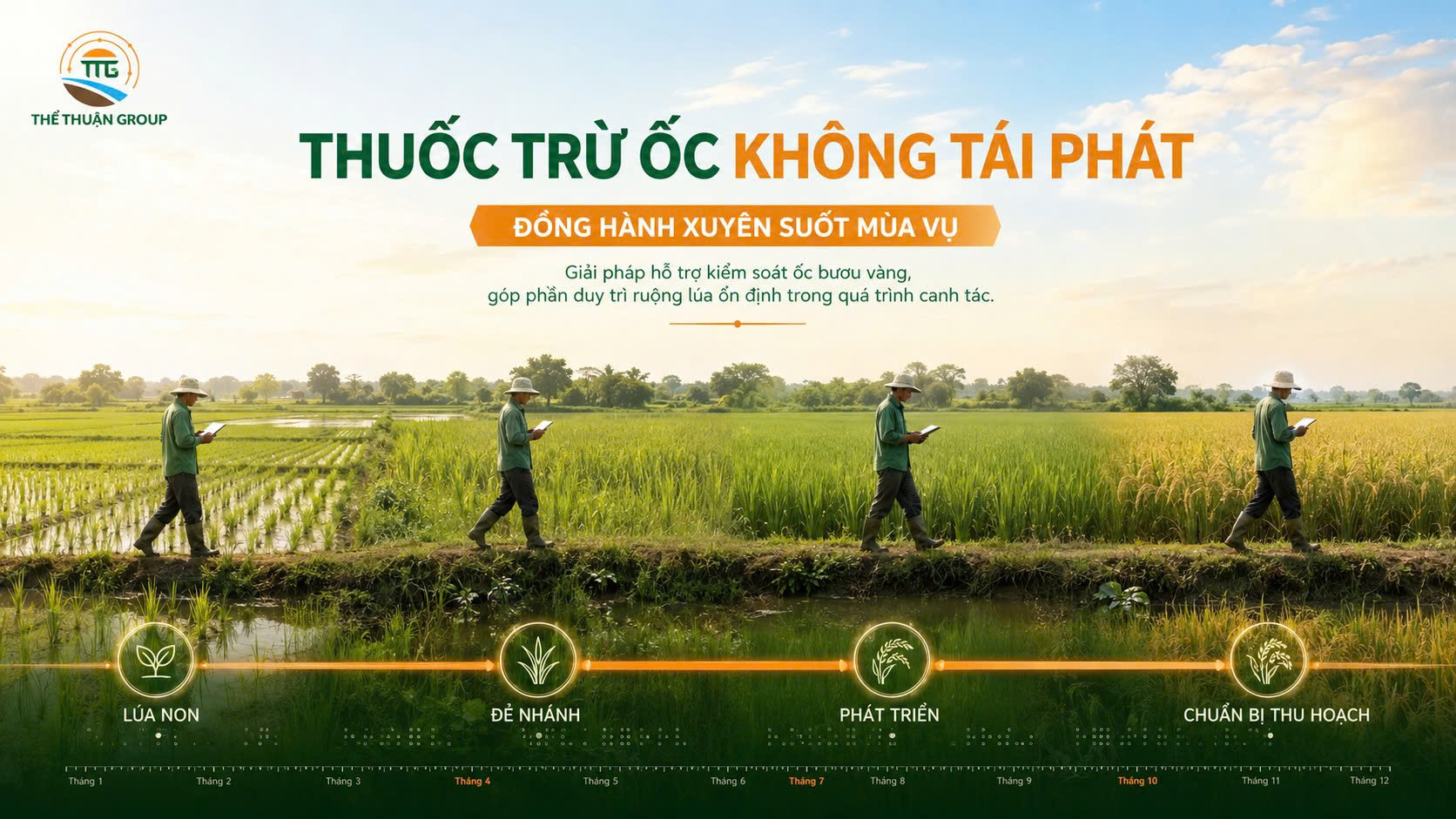 Thuốc trừ ốc không tái phát Thuốc trừ ốc không tái phát