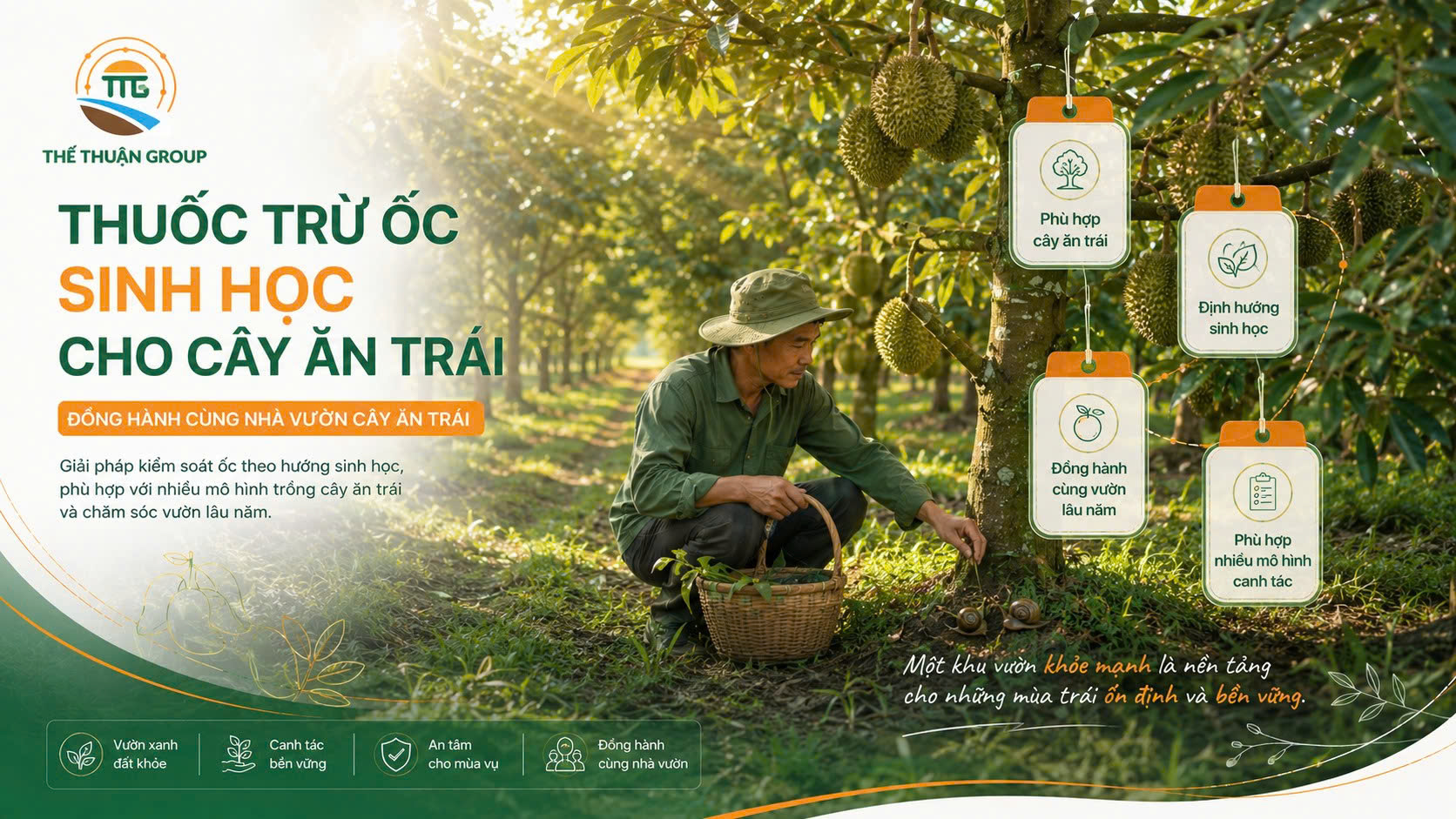 Thuốc trừ ốc sinh học cho cây ăn trái