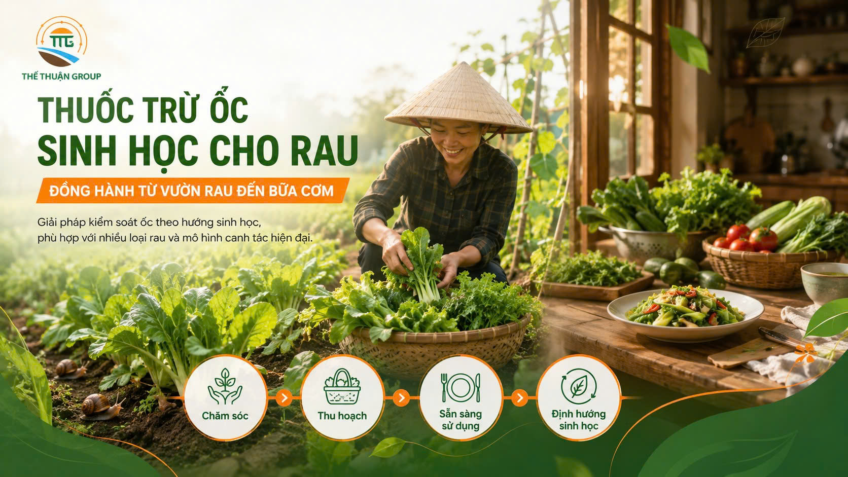 Thuốc trừ ốc sinh học cho rau Thuốc trừ ốc sinh học cho rau