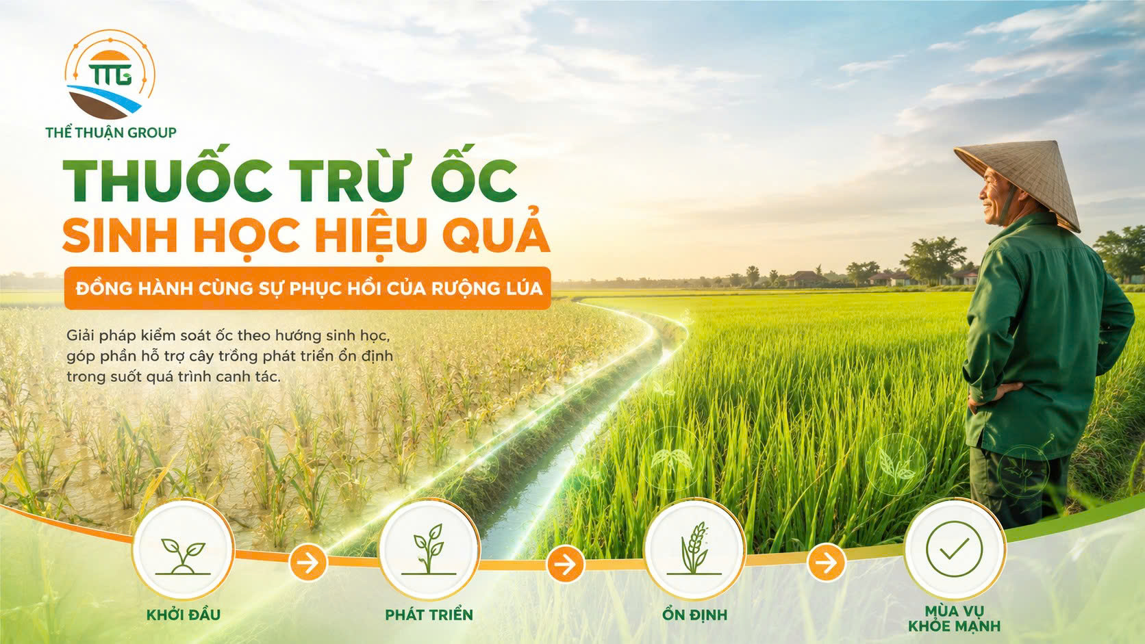 Thuốc trừ ốc sinh học hiệu quả