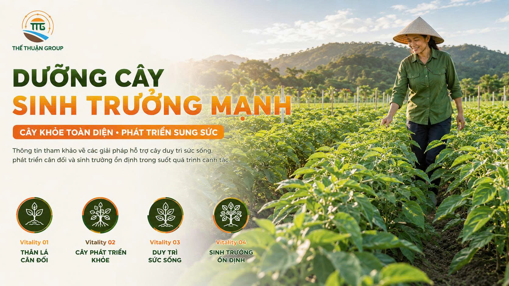 Dưỡng cây sinh trưởng mạnh