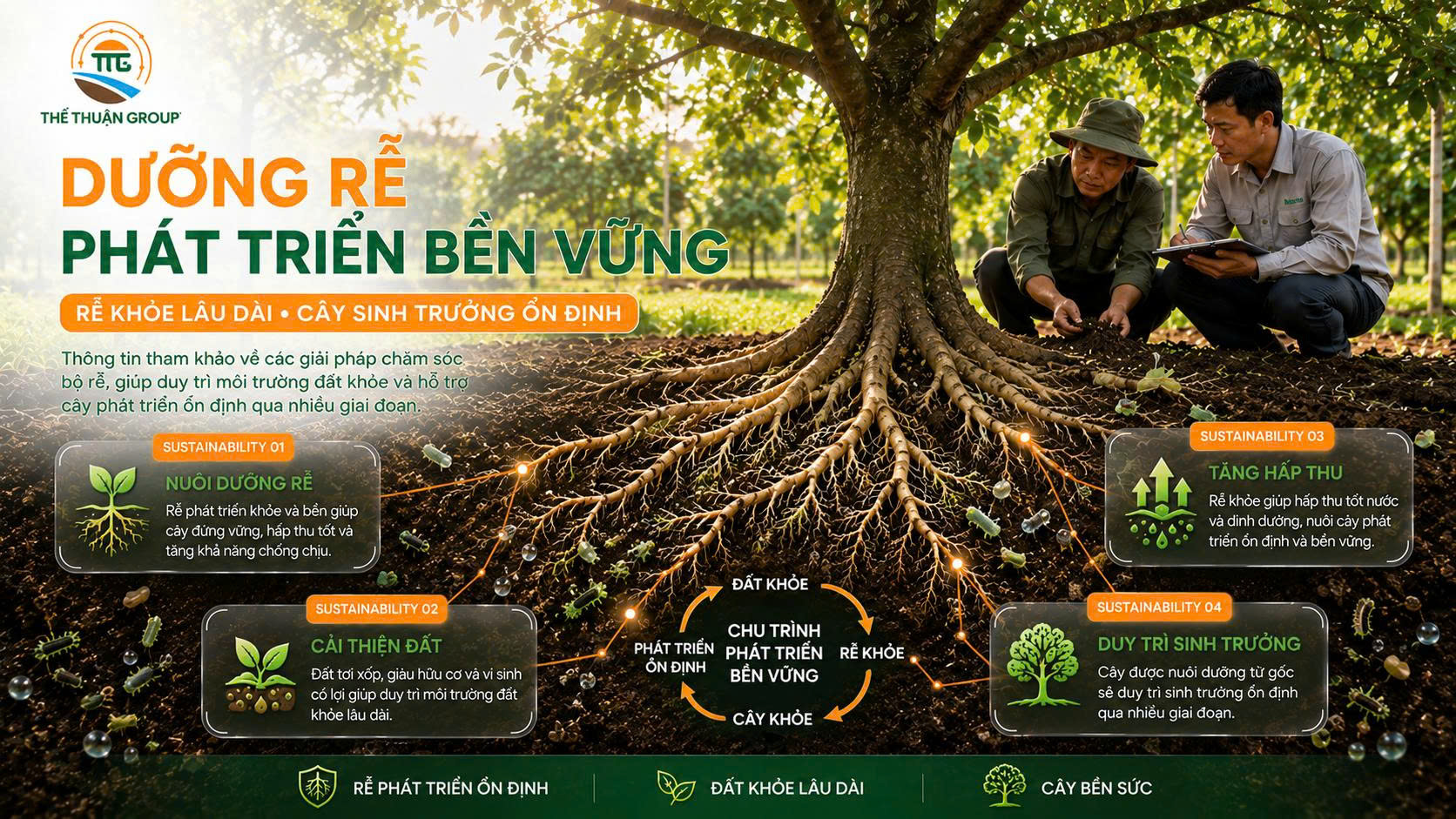 Dưỡng rễ phát triển bền vững Dưỡng rễ phát triển bền vững