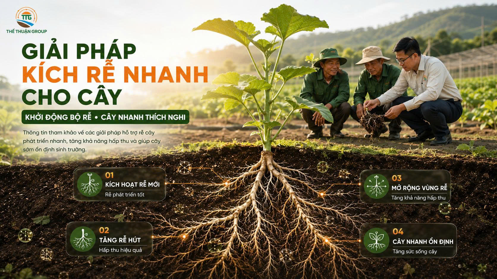 Giải pháp kích rễ nhanh cho cây Giải pháp kích rễ nhanh cho cây