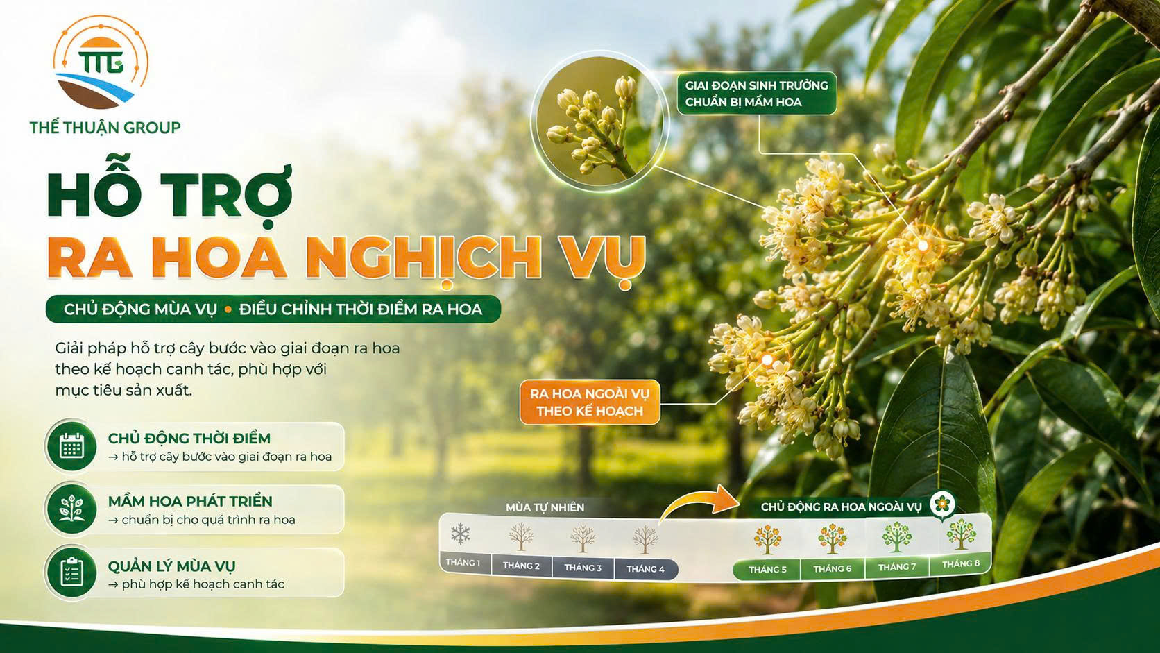 Hỗ trợ ra hoa nghịch vụ Hỗ trợ ra hoa nghịch vụ