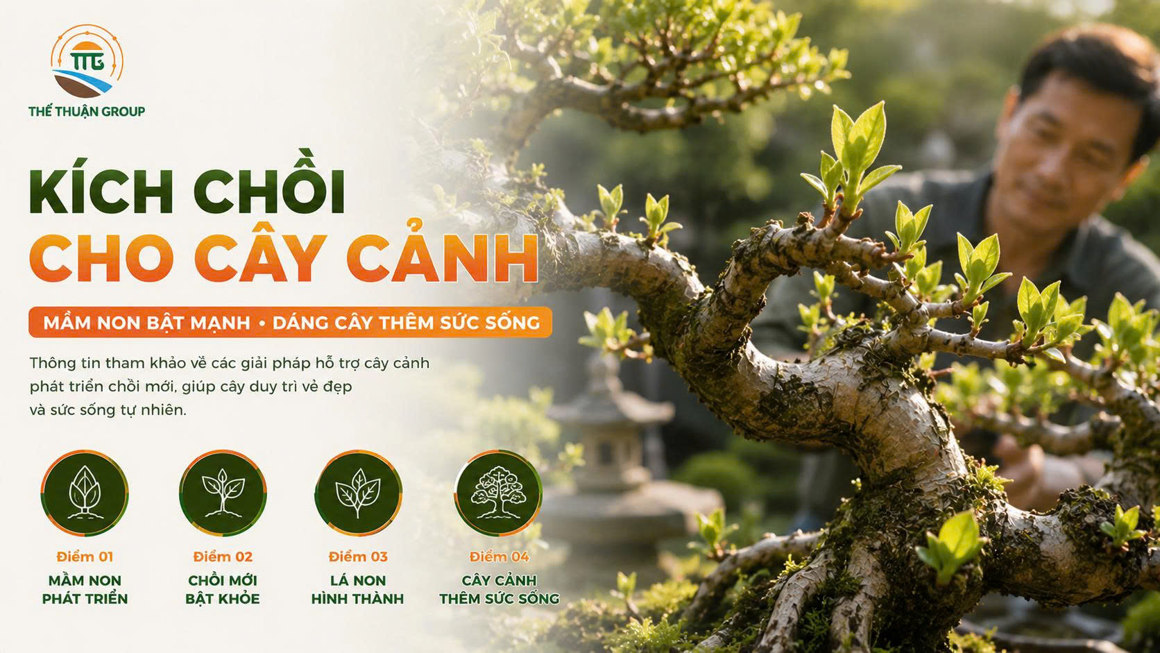 Kích chồi cho cây cảnh