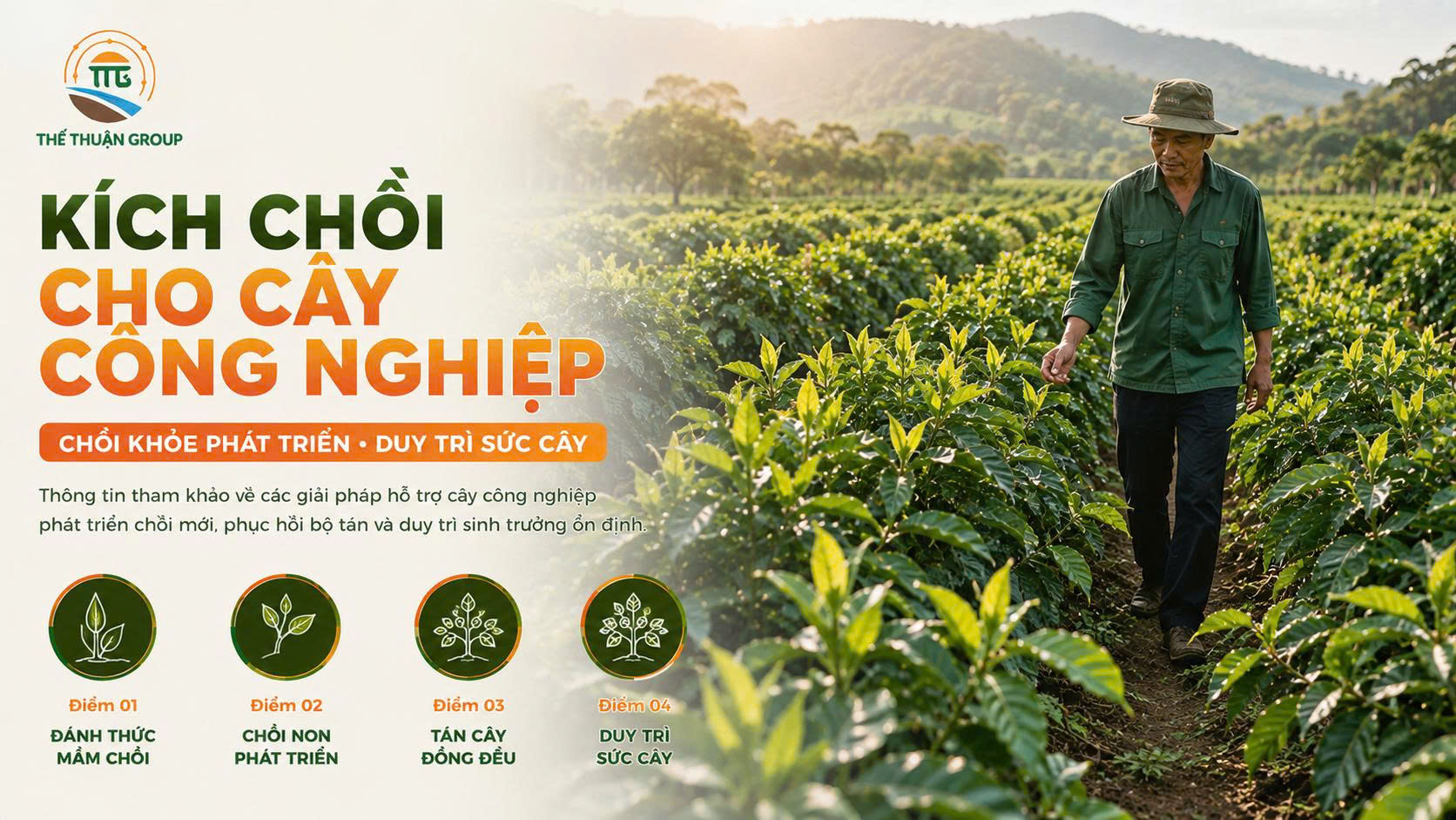 Kích chồi cho cây công nghiệp