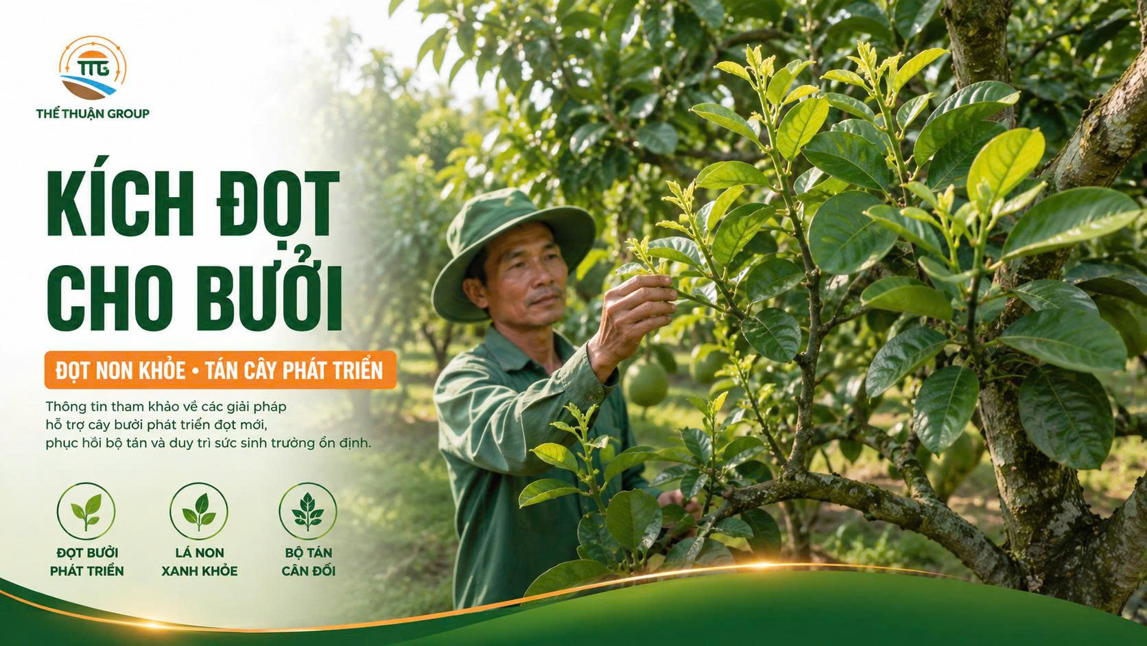 Kích đọt cho bưởi