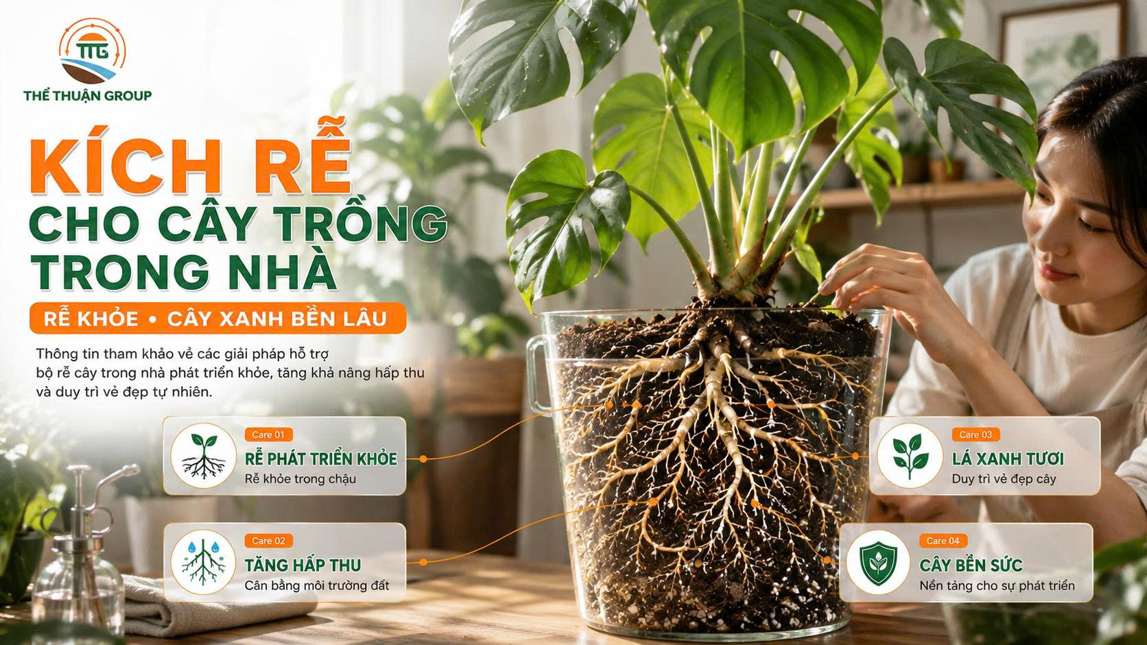 Kích rễ cho cây trồng trong nhà