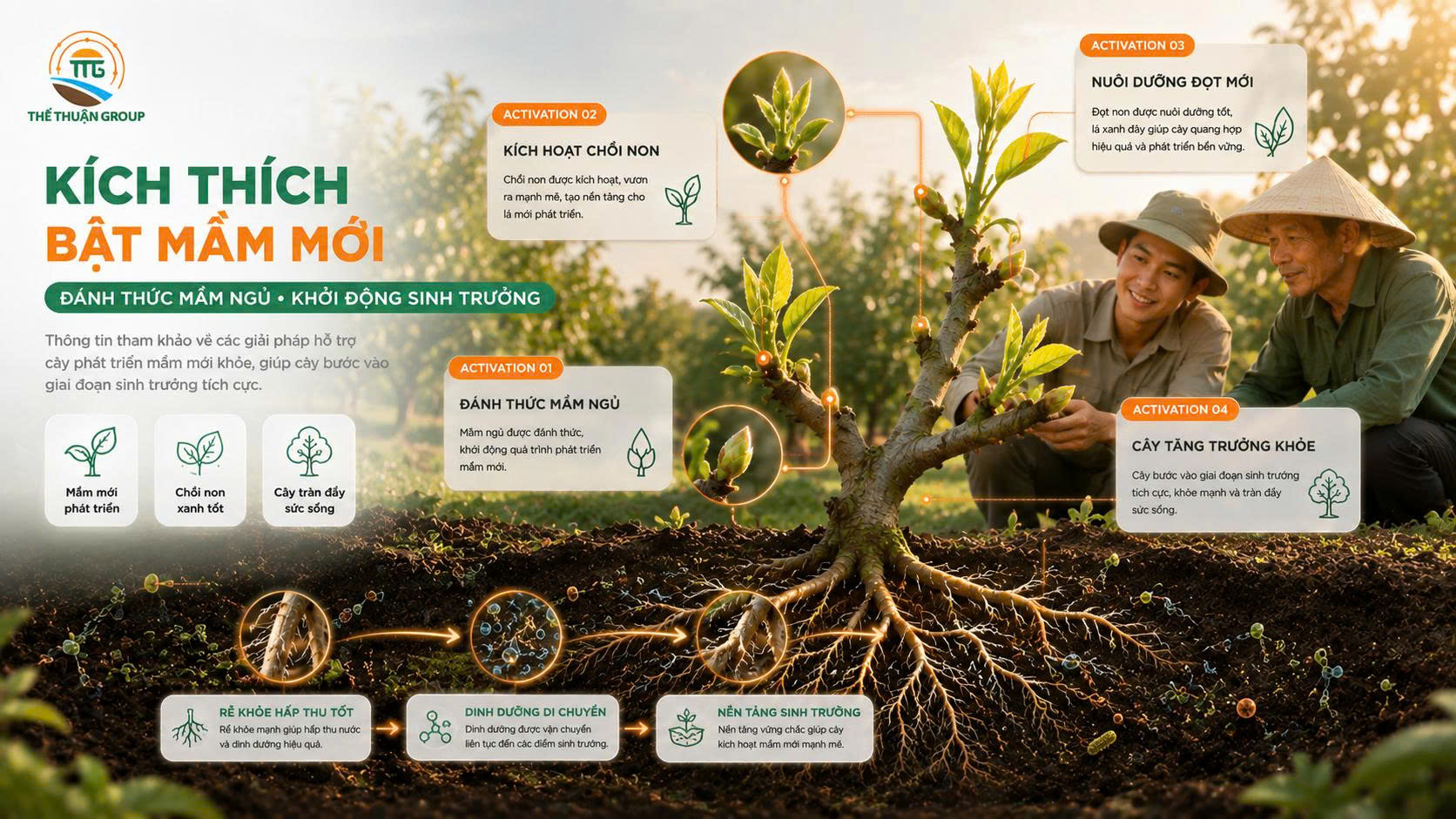 Kích thích bật mầm mới