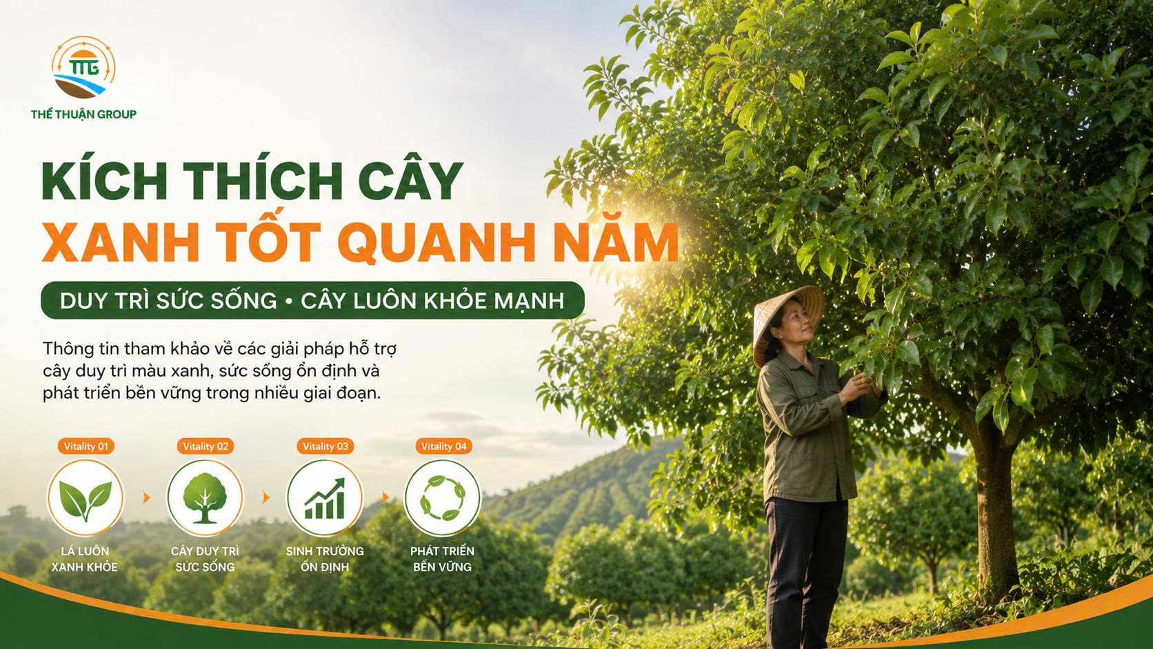 Kích thích cây xanh tốt quanh năm Kích thích cây xanh tốt quanh năm