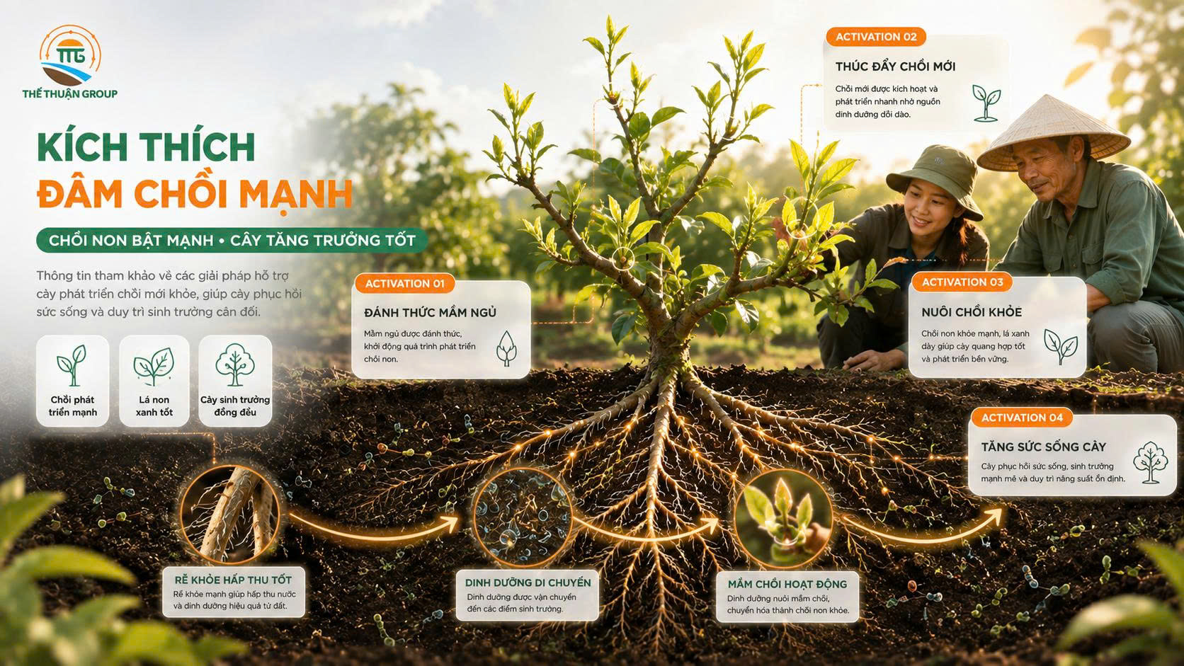 Kích thích đâm chồi mạnh Kích thích đâm chồi mạnh
