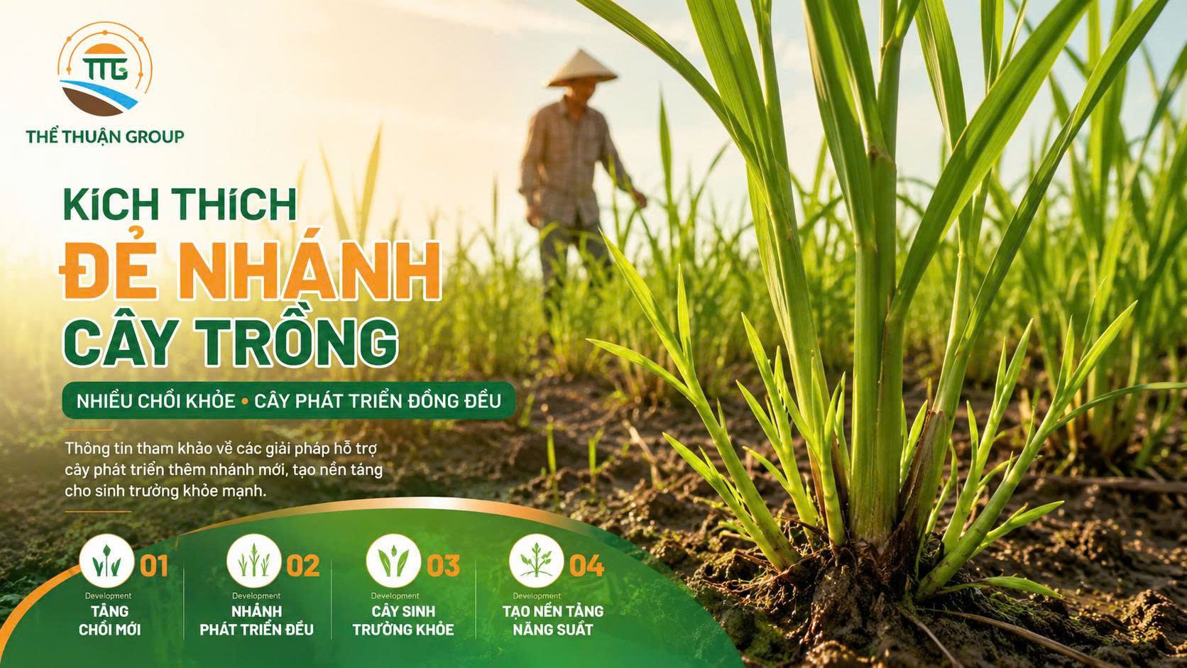 Kích thích đẻ nhánh cây trồng Kích thích đẻ nhánh cây trồng