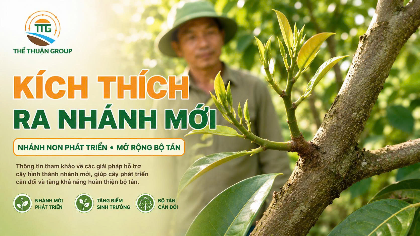 Kích thích ra nhánh mới Kích thích ra nhánh mới