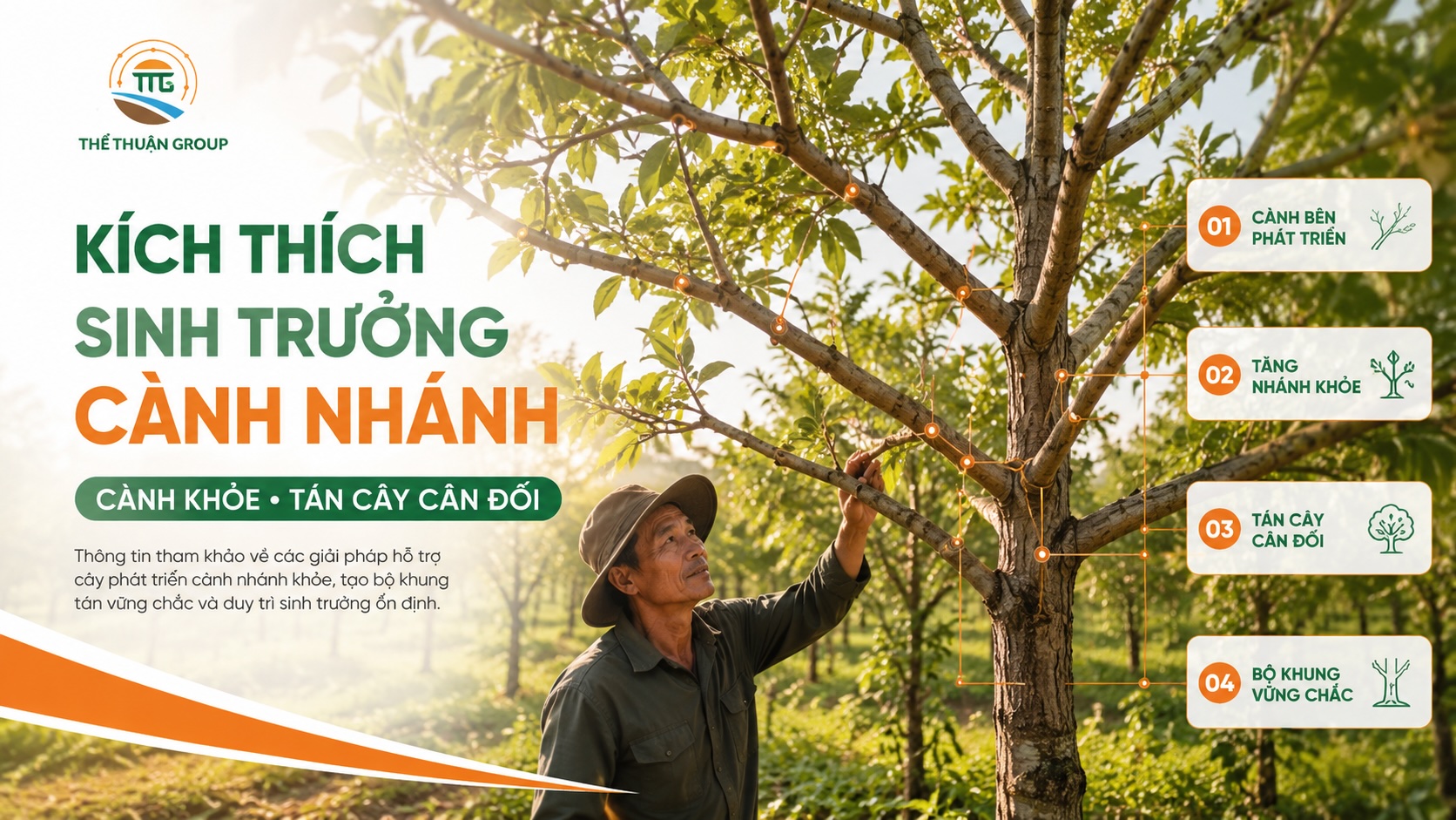 Kích thích sinh trưởng cành nhánh Kích thích sinh trưởng cành nhánh