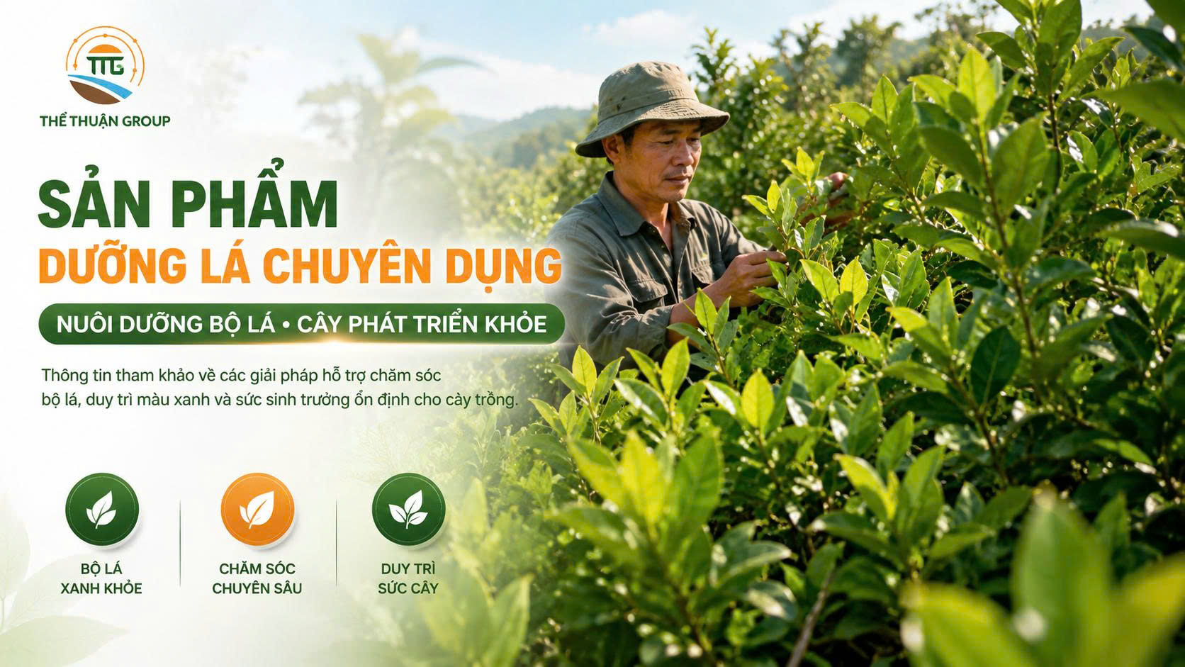 Sản phẩm dưỡng lá chuyên dụng