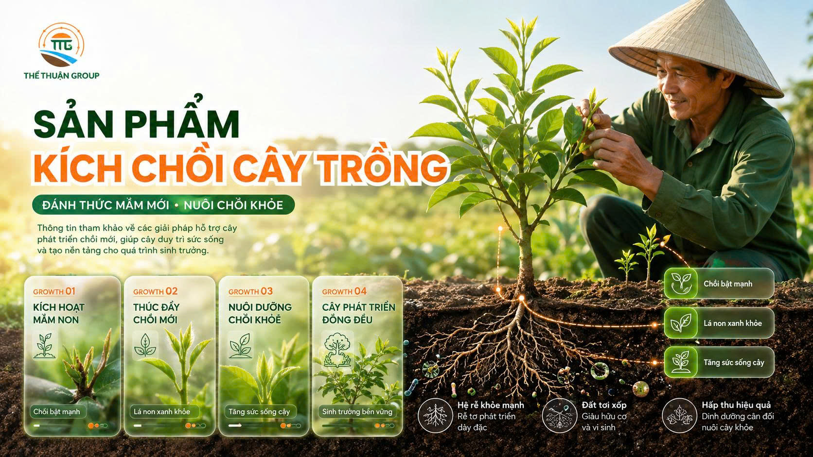 Sản phẩm kích chồi cây trồng Sản phẩm kích chồi cây trồng