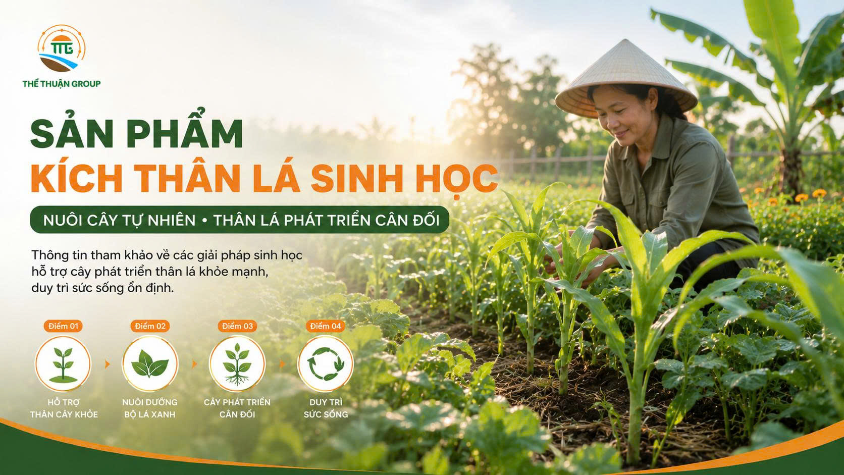 Sản phẩm kích thân lá sinh học