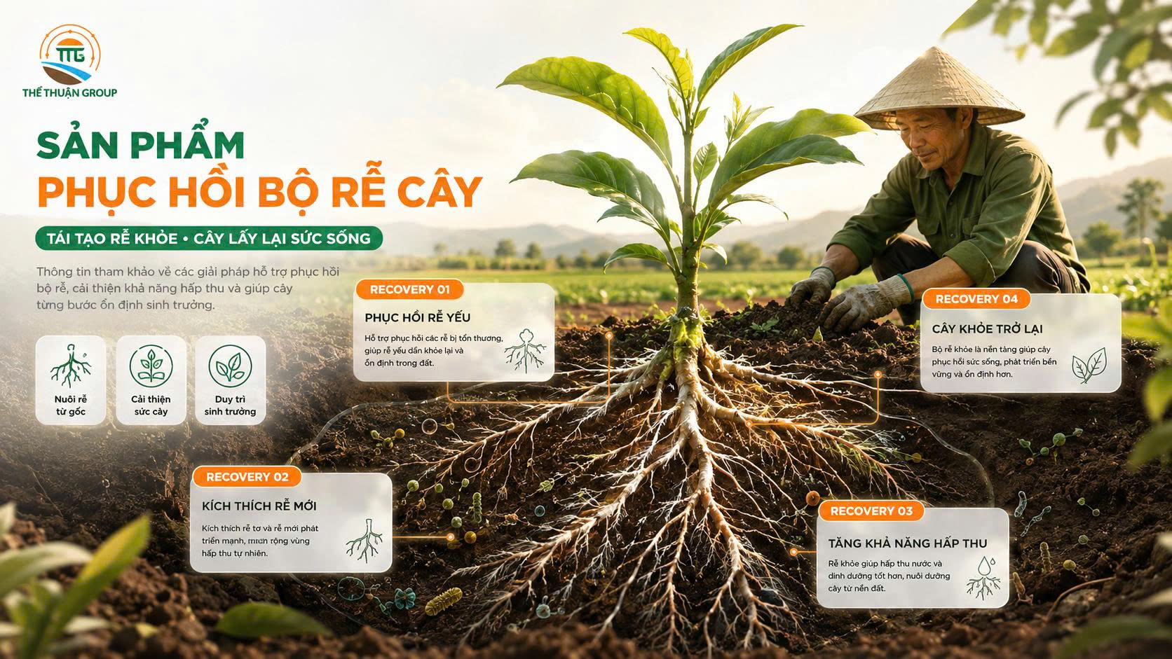 Sản phẩm phục hồi bộ rễ cây Sản phẩm phục hồi bộ rễ cây