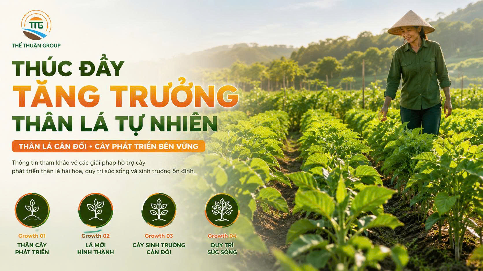 Thúc đẩy tăng trưởng thân lá tự nhiên Thúc đẩy tăng trưởng thân lá tự nhiên