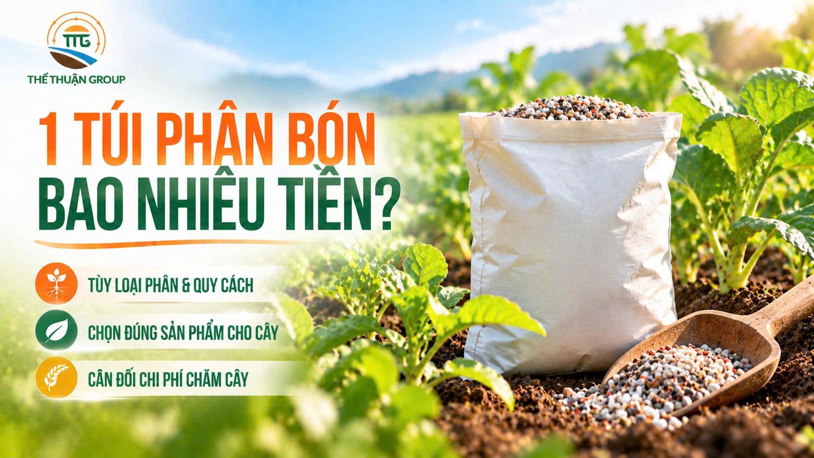 1 túi phân bón bao nhiêu tiền