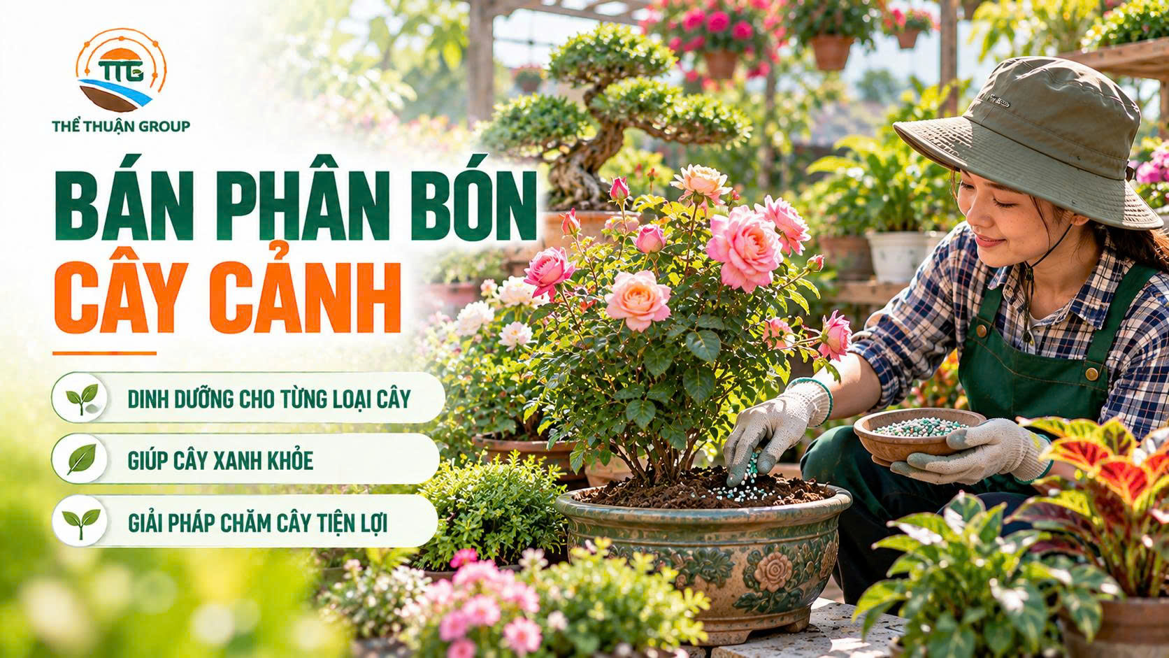 Bán phân bón cây cảnh Bán phân bón cây cảnh