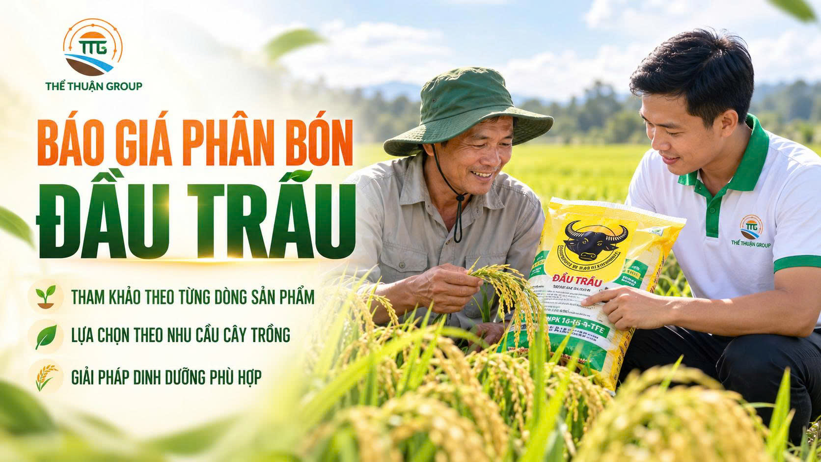 Báo giá phân bón đầu trâu