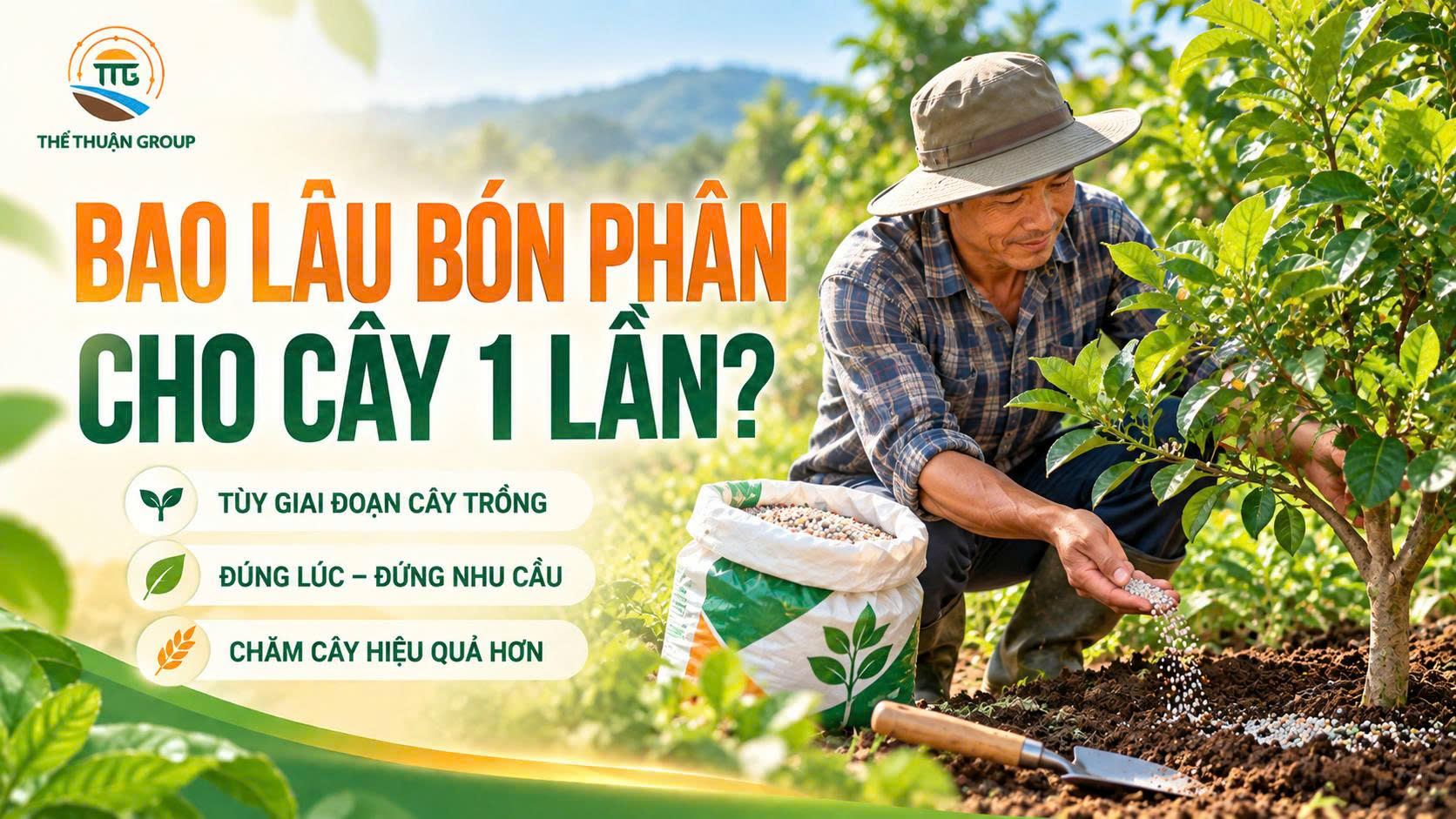 Bao lâu bón phân cho cây 1 lần Bao lâu bón phân cho cây 1 lần