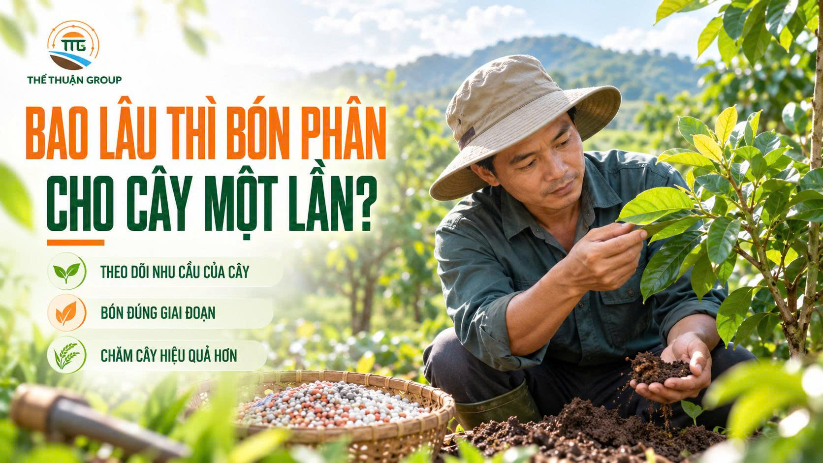Bao lâu thì bón phân cho cây một lần Bao lâu thì bón phân cho cây một lần