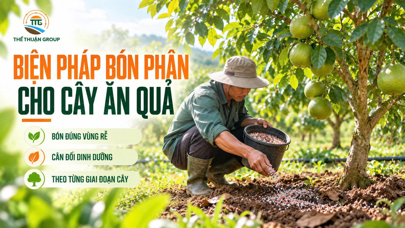 Biện pháp bón phân cho cây ăn quả Biện pháp bón phân cho cây ăn quả