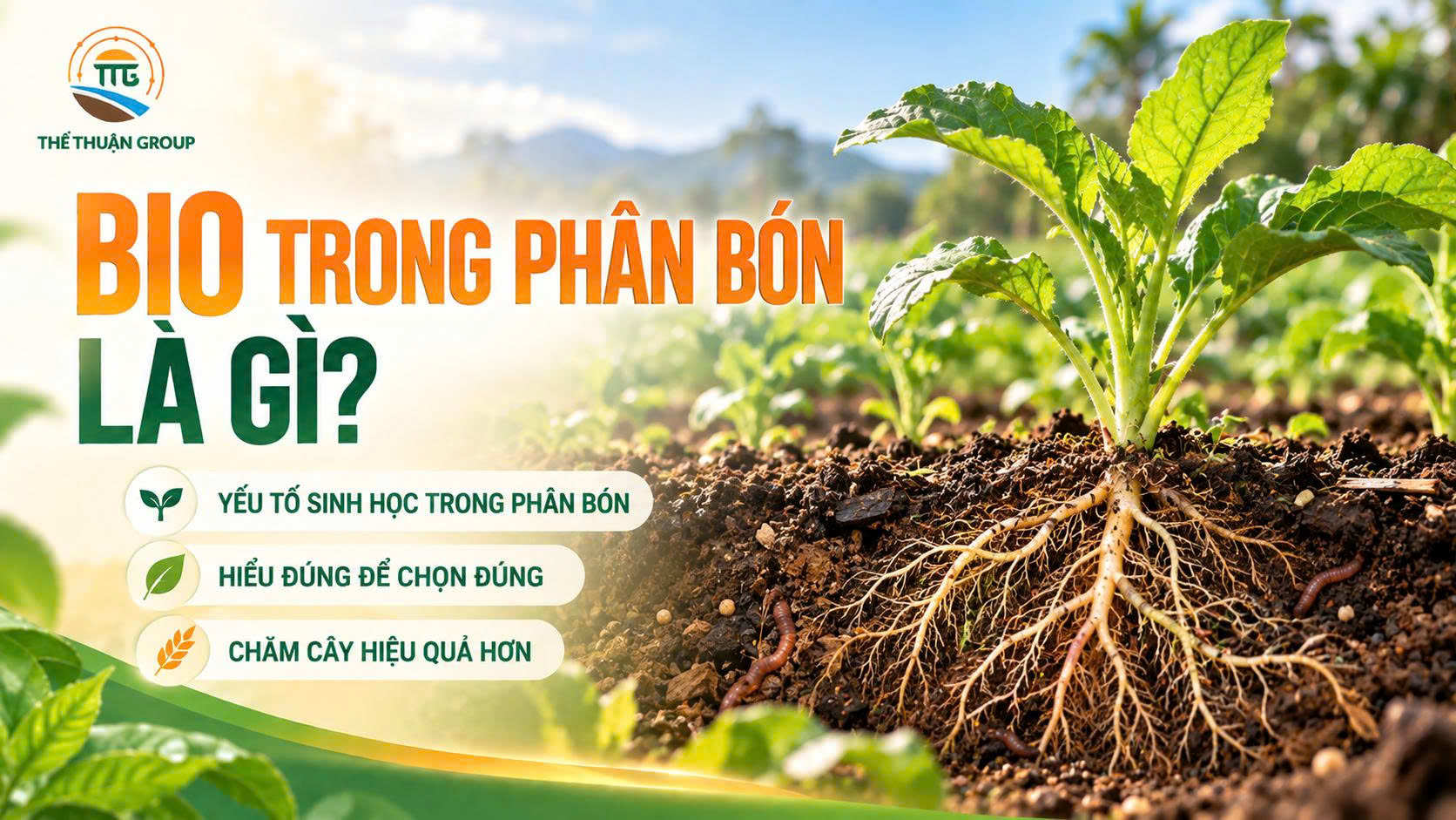 Bio trong phân bón là gì Bio trong phân bón là gì