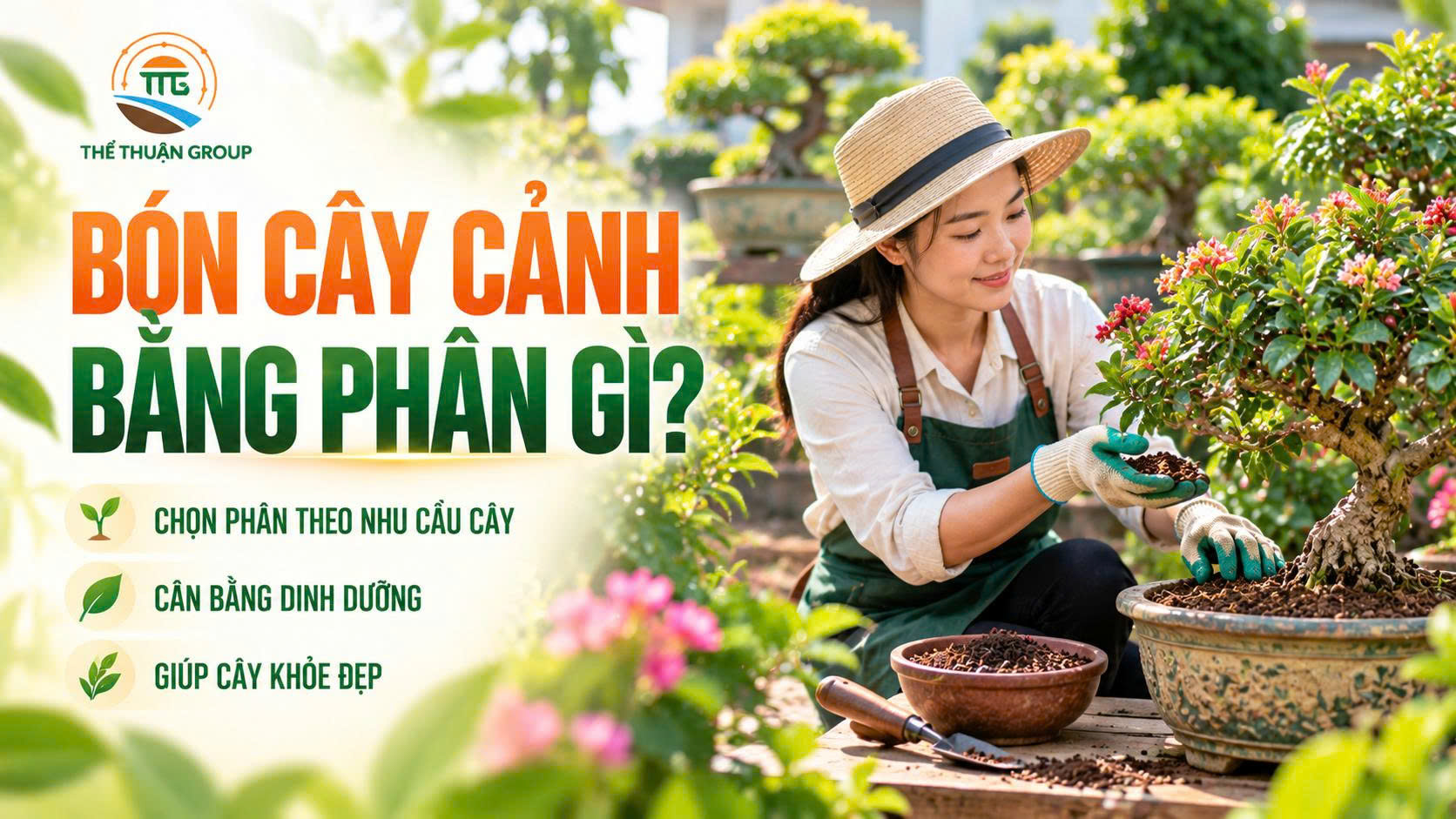 Bón cây cảnh bằng phân gì