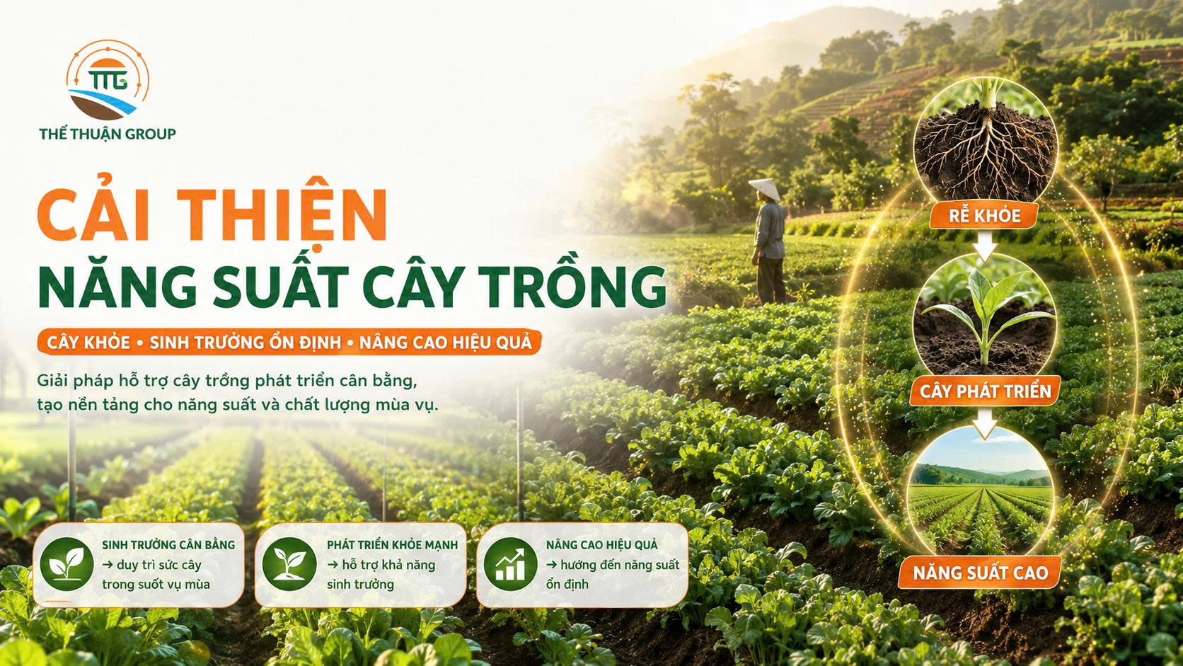 Cải thiện năng suất cây trồng Cải thiện năng suất cây trồng