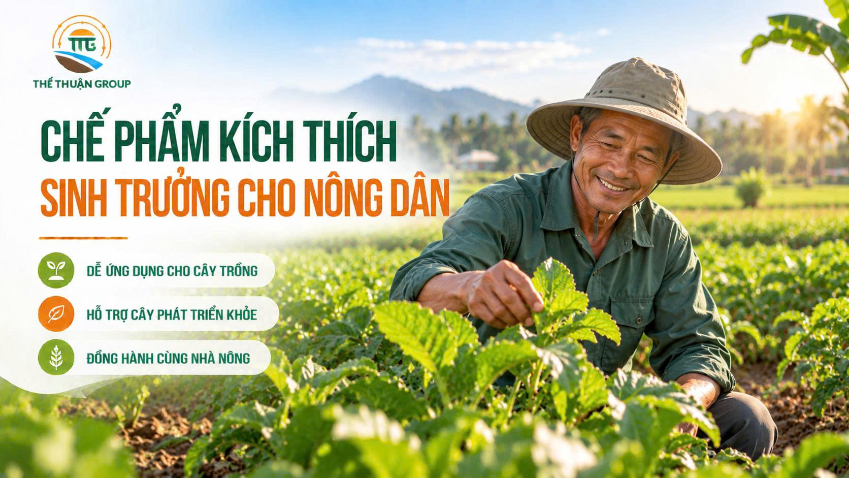 Chế phẩm kích thích sinh trưởng cho nông dân Chế phẩm kích thích sinh trưởng cho nông dân