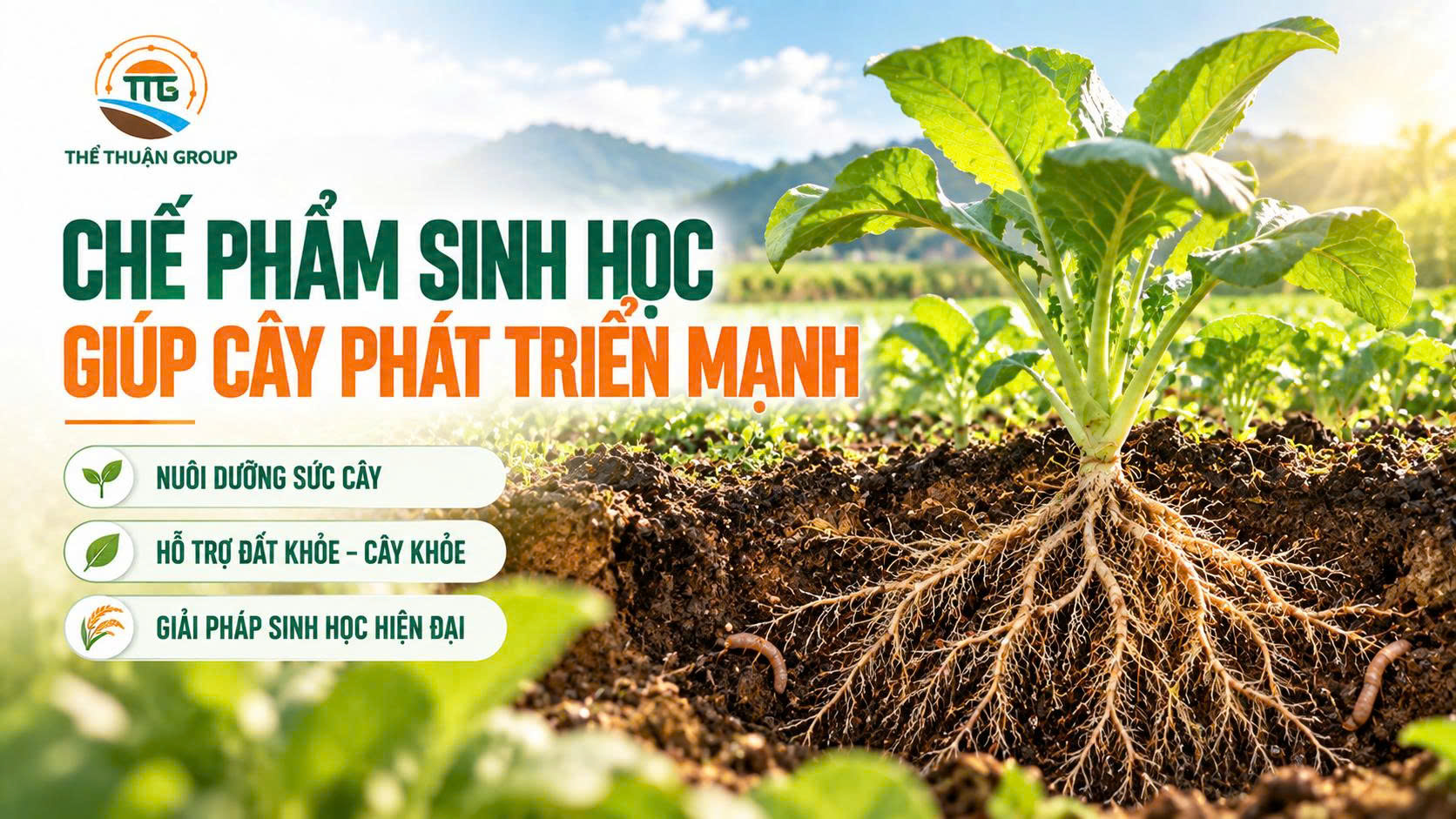 Chế phẩm sinh học giúp cây phát triển mạnh Chế phẩm sinh học giúp cây phát triển mạnh