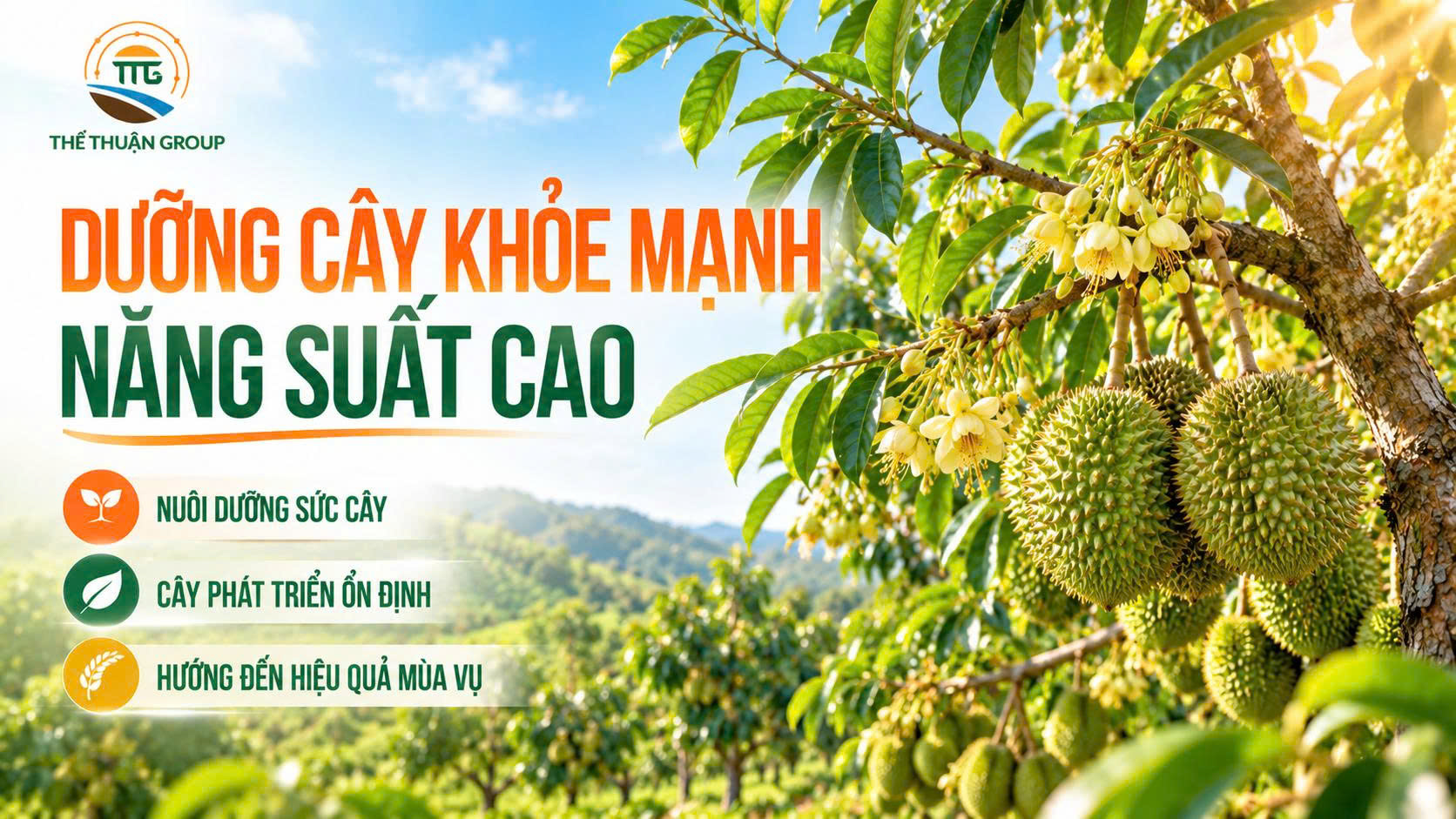 Dưỡng cây khỏe mạnh năng suất cao Dưỡng cây khỏe mạnh năng suất cao