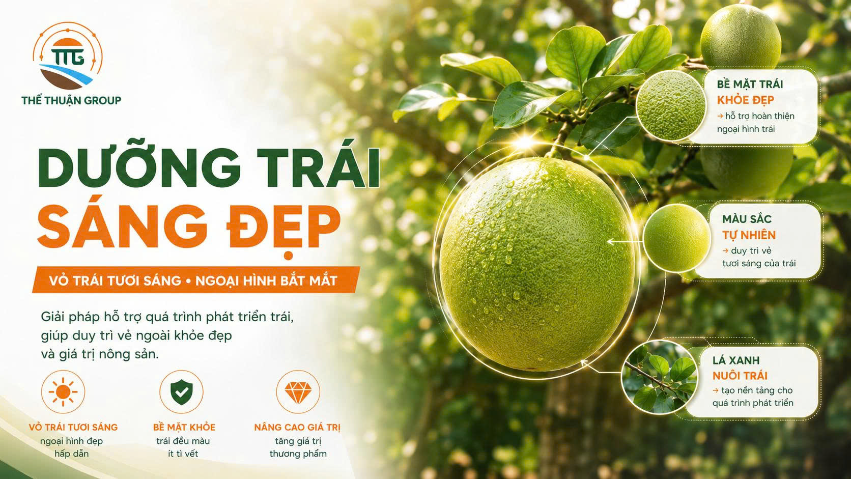Dưỡng trái sáng đẹp