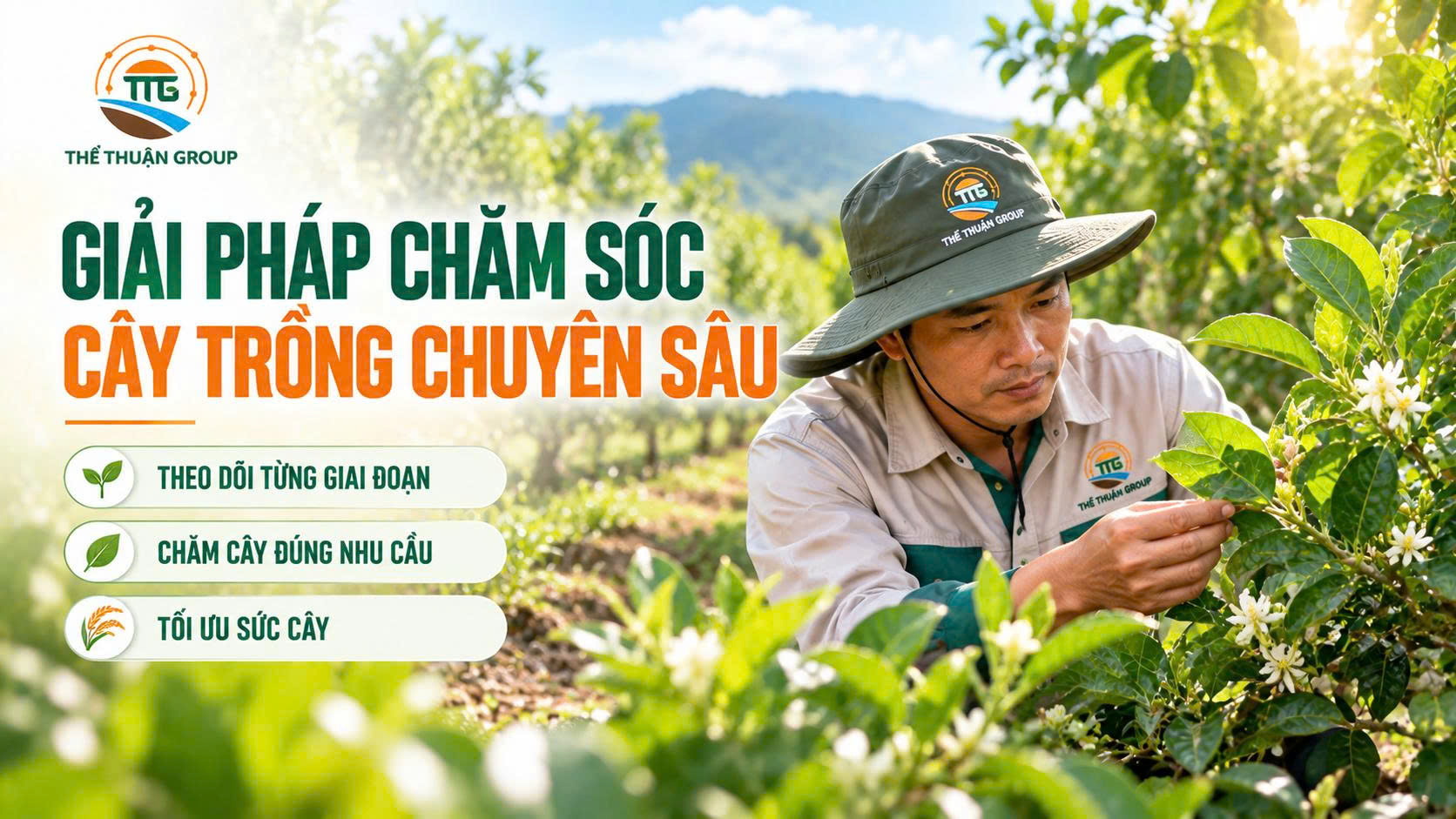 Giải pháp chăm sóc cây trồng chuyên sâu Giải pháp chăm sóc cây trồng chuyên sâu
