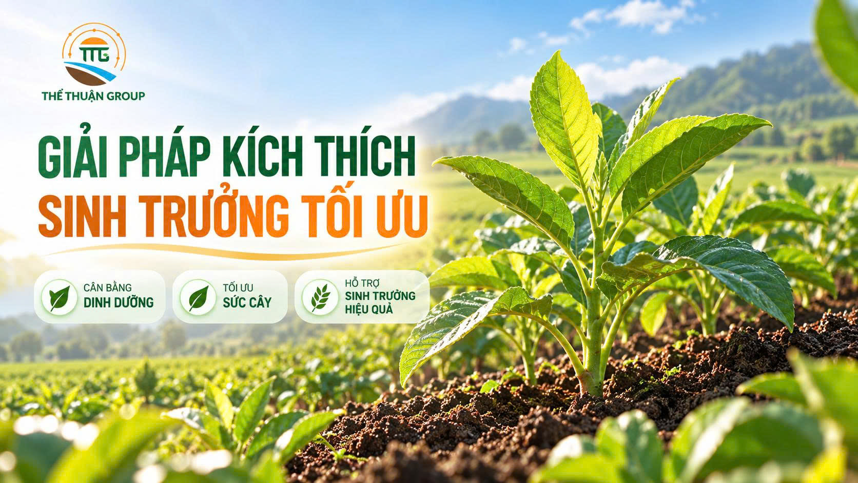 Giải pháp kích thích sinh trưởng tối ưu