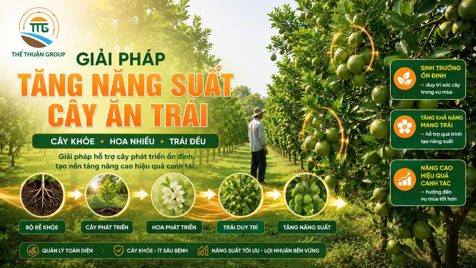 Giải pháp tăng năng suất cây ăn trái Giải pháp tăng năng suất cây ăn trái