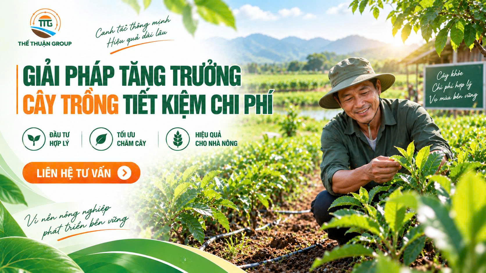 Giải pháp tăng trưởng cây trồng tiết kiệm chi phí Giải pháp tăng trưởng cây trồng tiết kiệm chi phí
