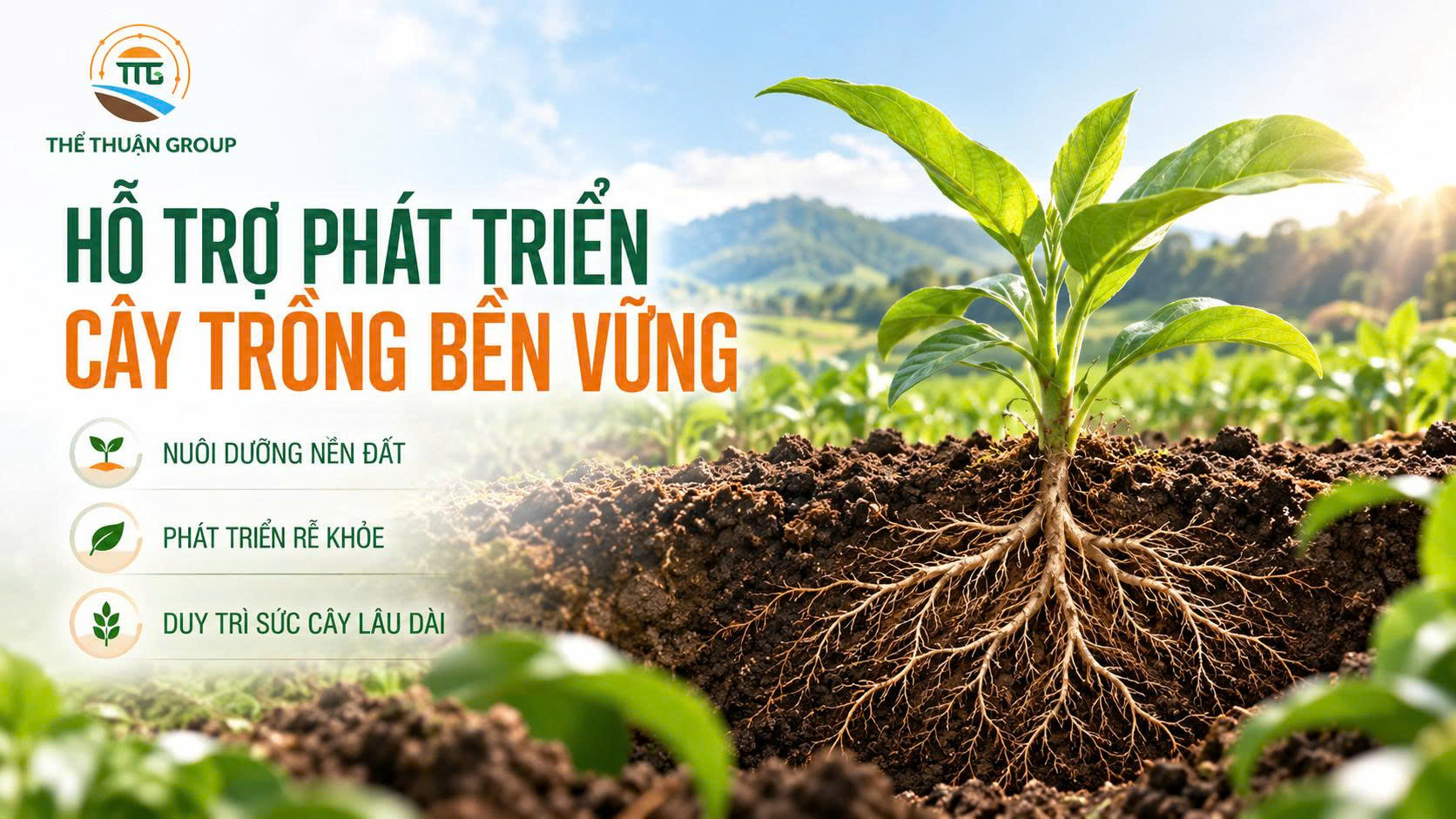 Hỗ trợ phát triển cây trồng bền vững