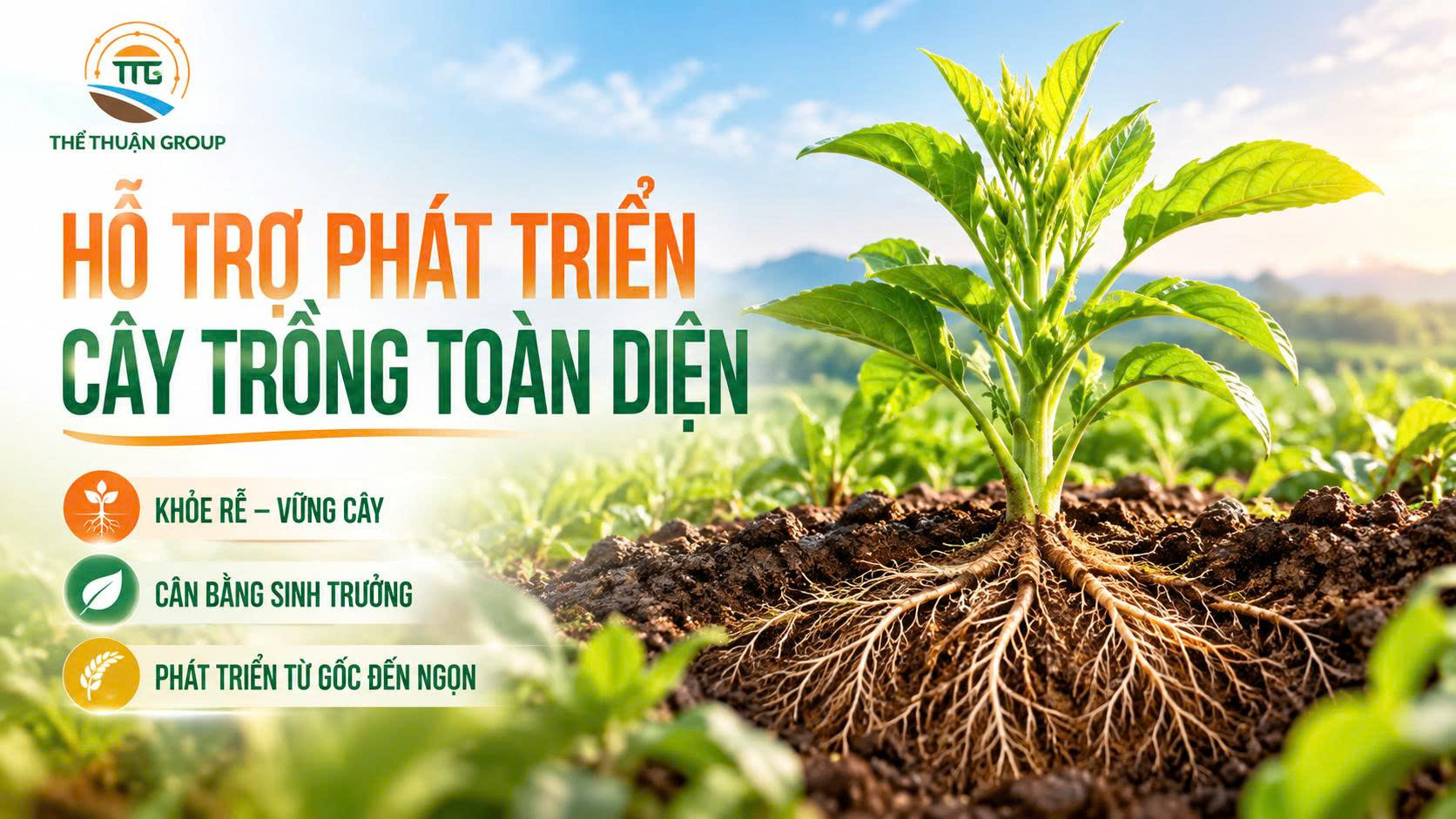 Hỗ trợ phát triển cây trồng toàn diện Hỗ trợ phát triển cây trồng toàn diện
