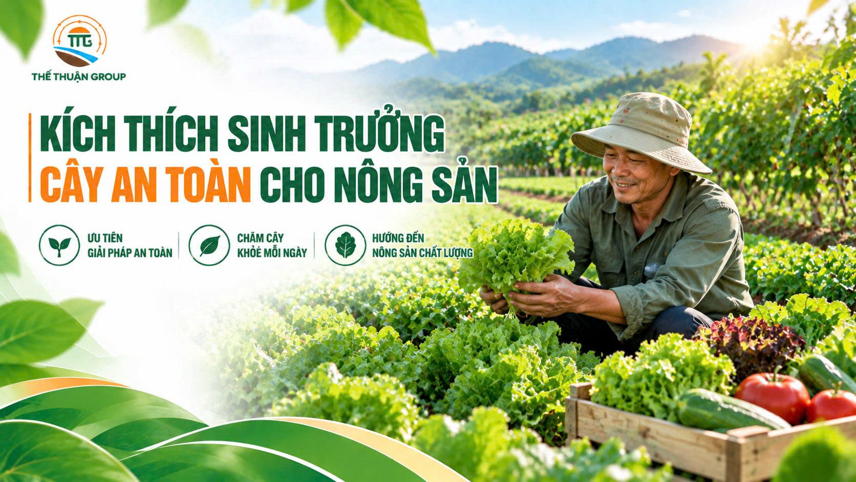 Kích thích sinh trưởng cây an toàn cho nông sản Kích thích sinh trưởng cây an toàn cho nông sản