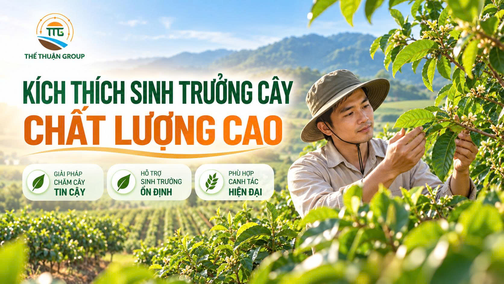 Kích thích sinh trưởng cây chất lượng cao Kích thích sinh trưởng cây chất lượng cao