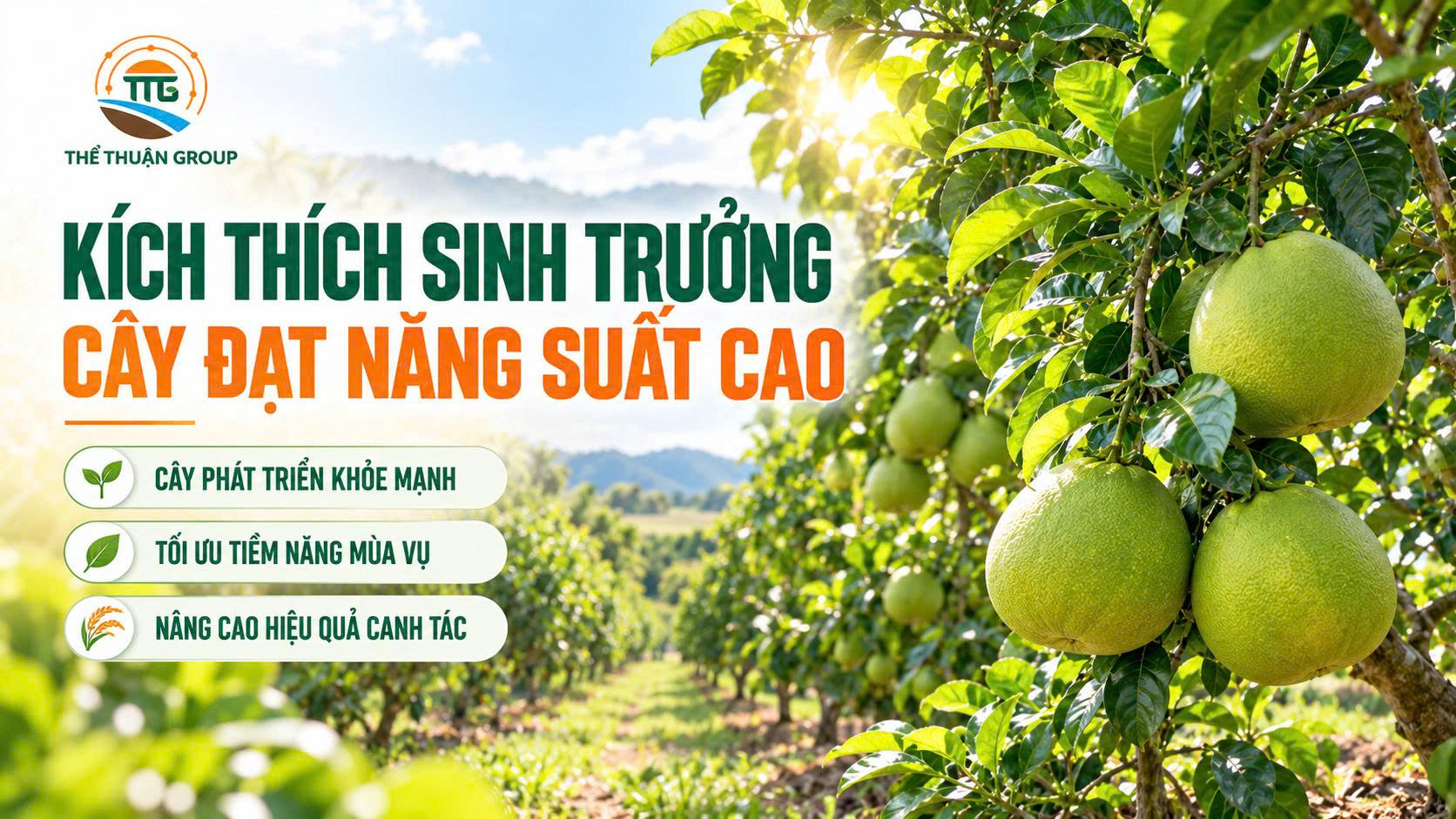 Kích thích sinh trưởng cây đạt năng suất cao Kích thích sinh trưởng cây đạt năng suất cao