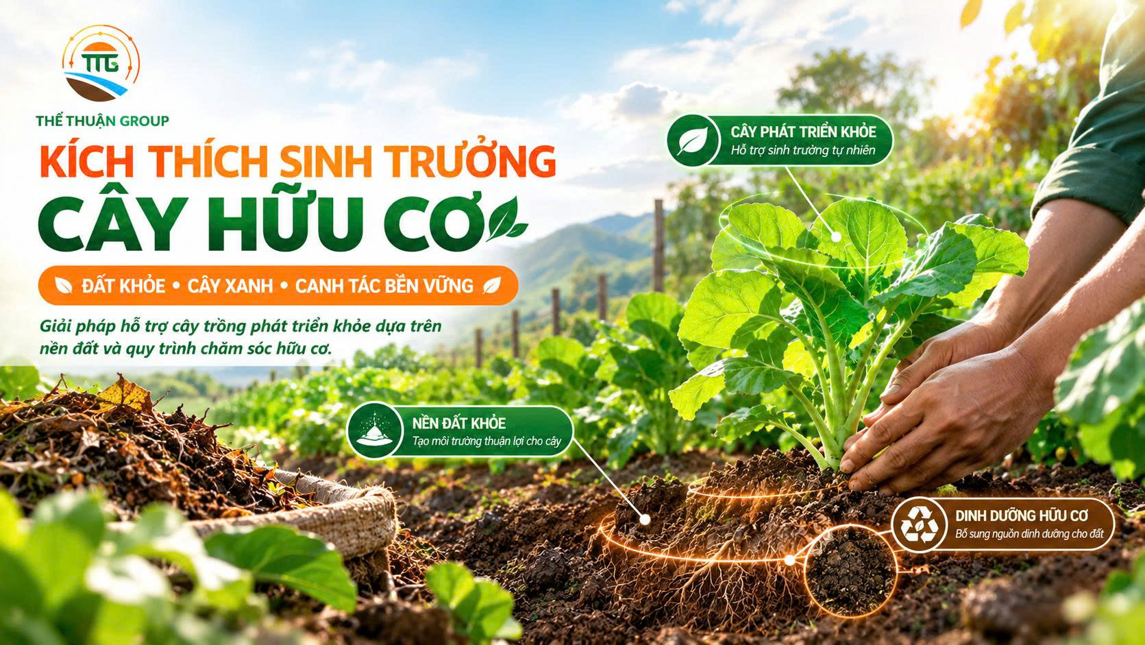 Kích thích sinh trưởng cây hữu cơ Kích thích sinh trưởng cây hữu cơ