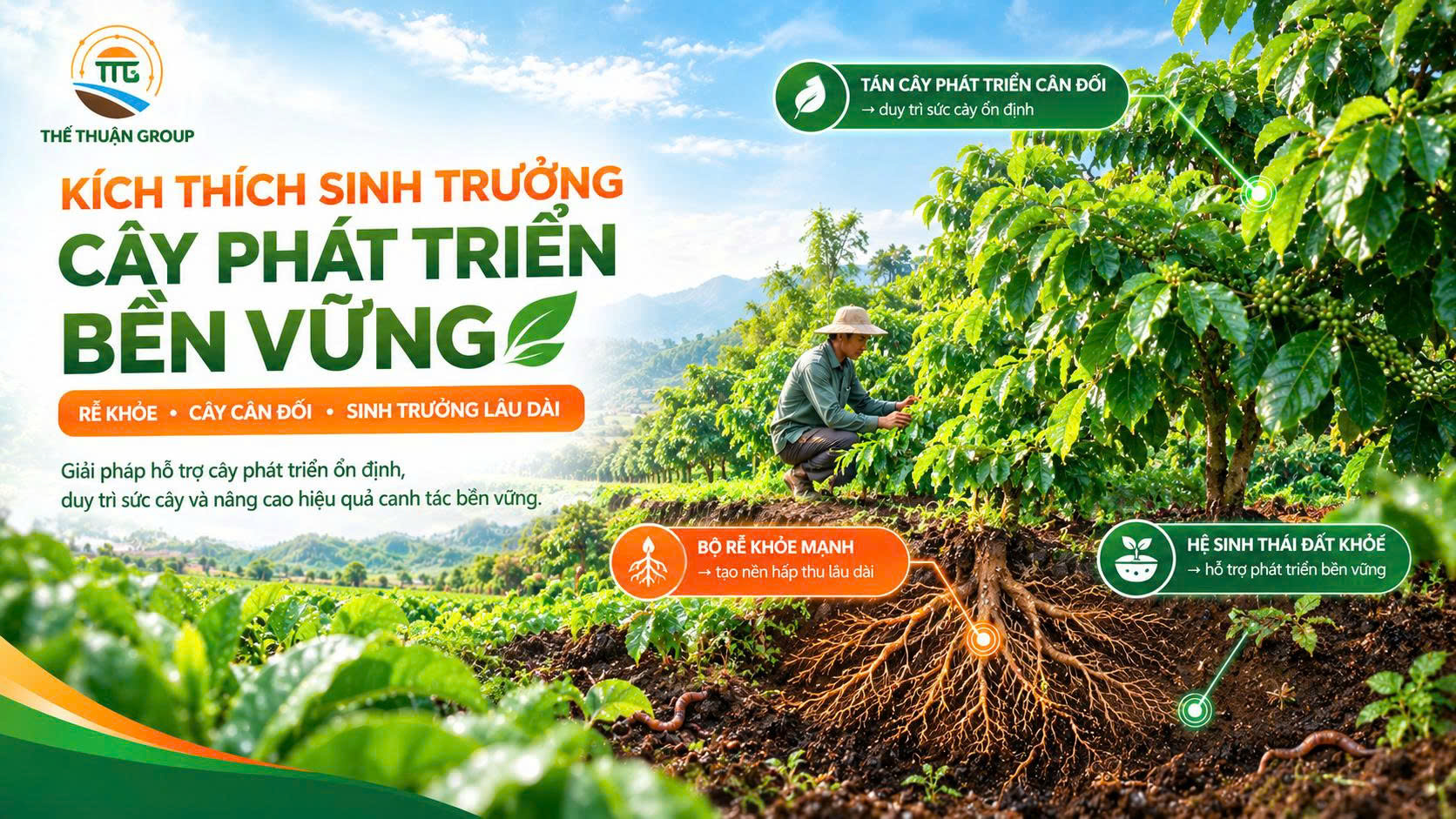 Kích thích sinh trưởng cây phát triển bền vững