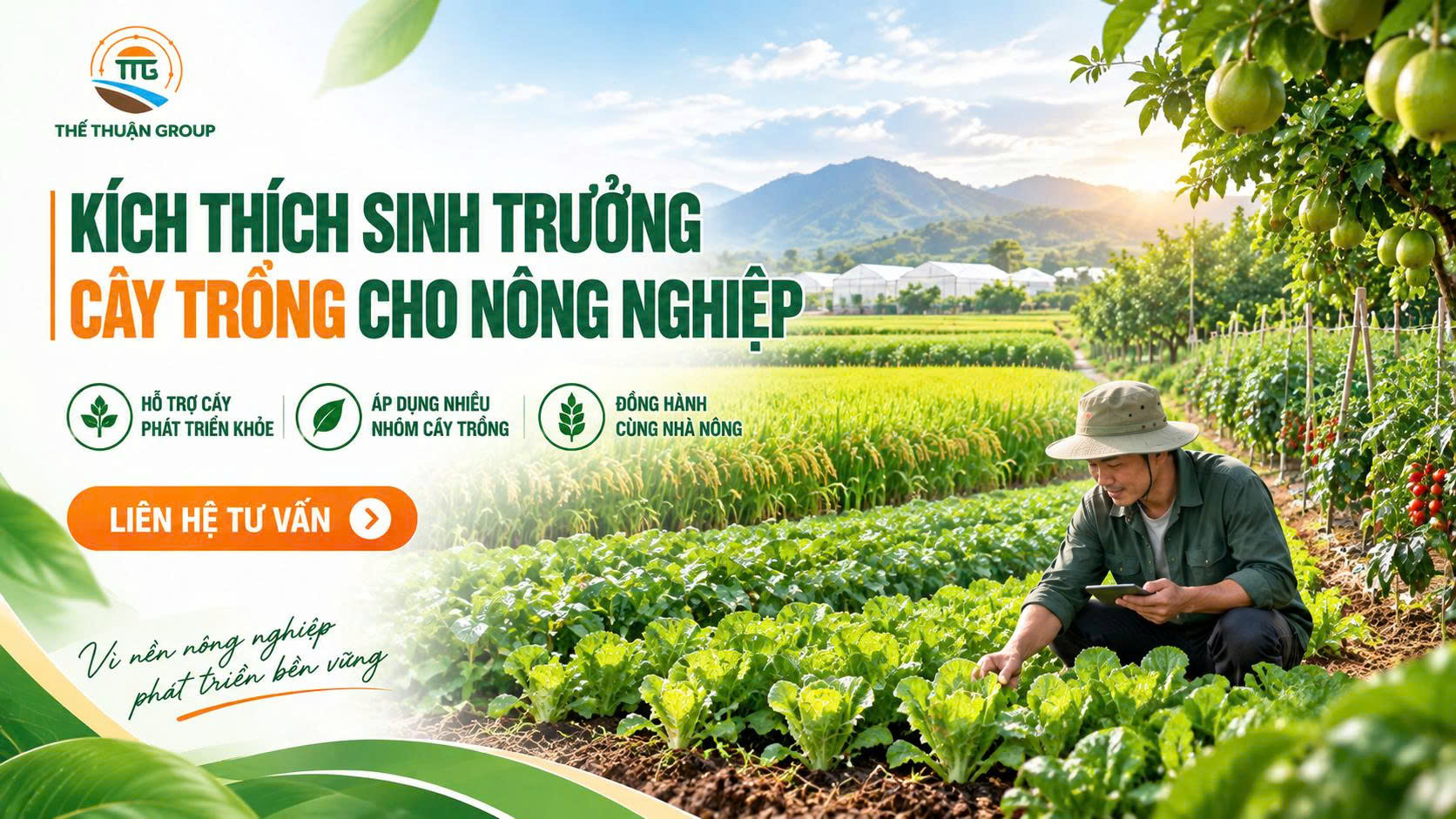 Kích thích sinh trưởng cây trồng cho nông nghiệp Kích thích sinh trưởng cây trồng cho nông nghiệp